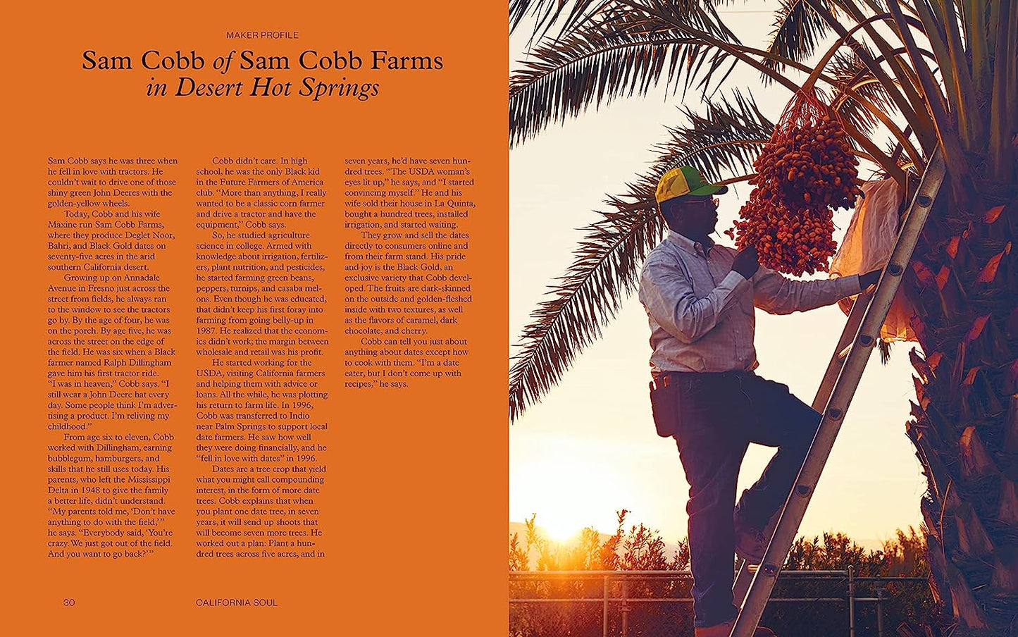 Tanya Holland's California Soul