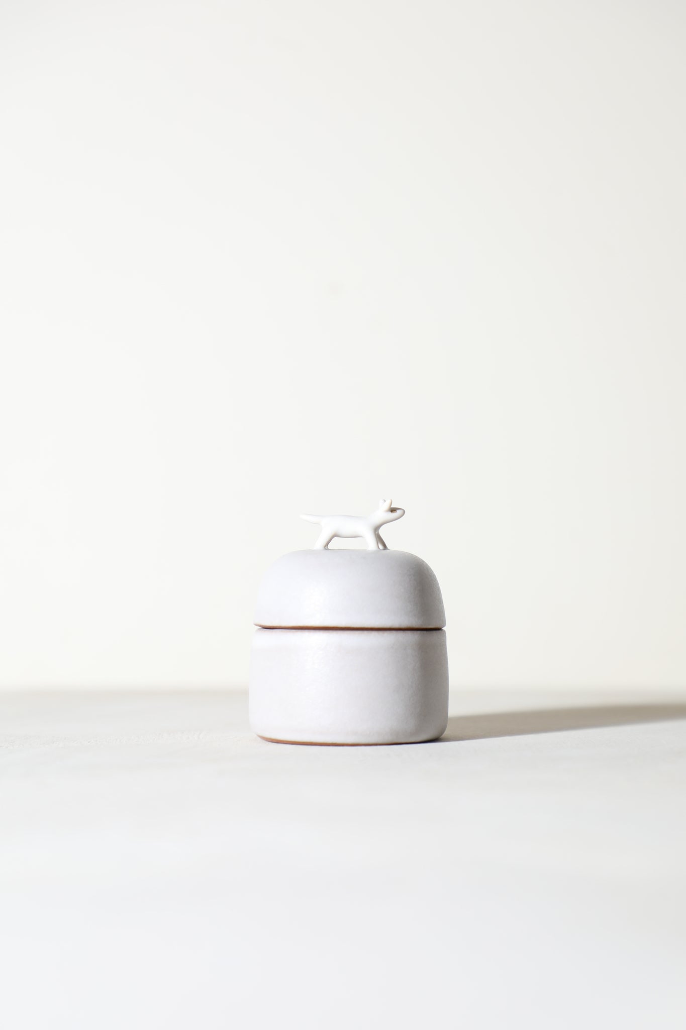 Amia - Animal Jewelry Box