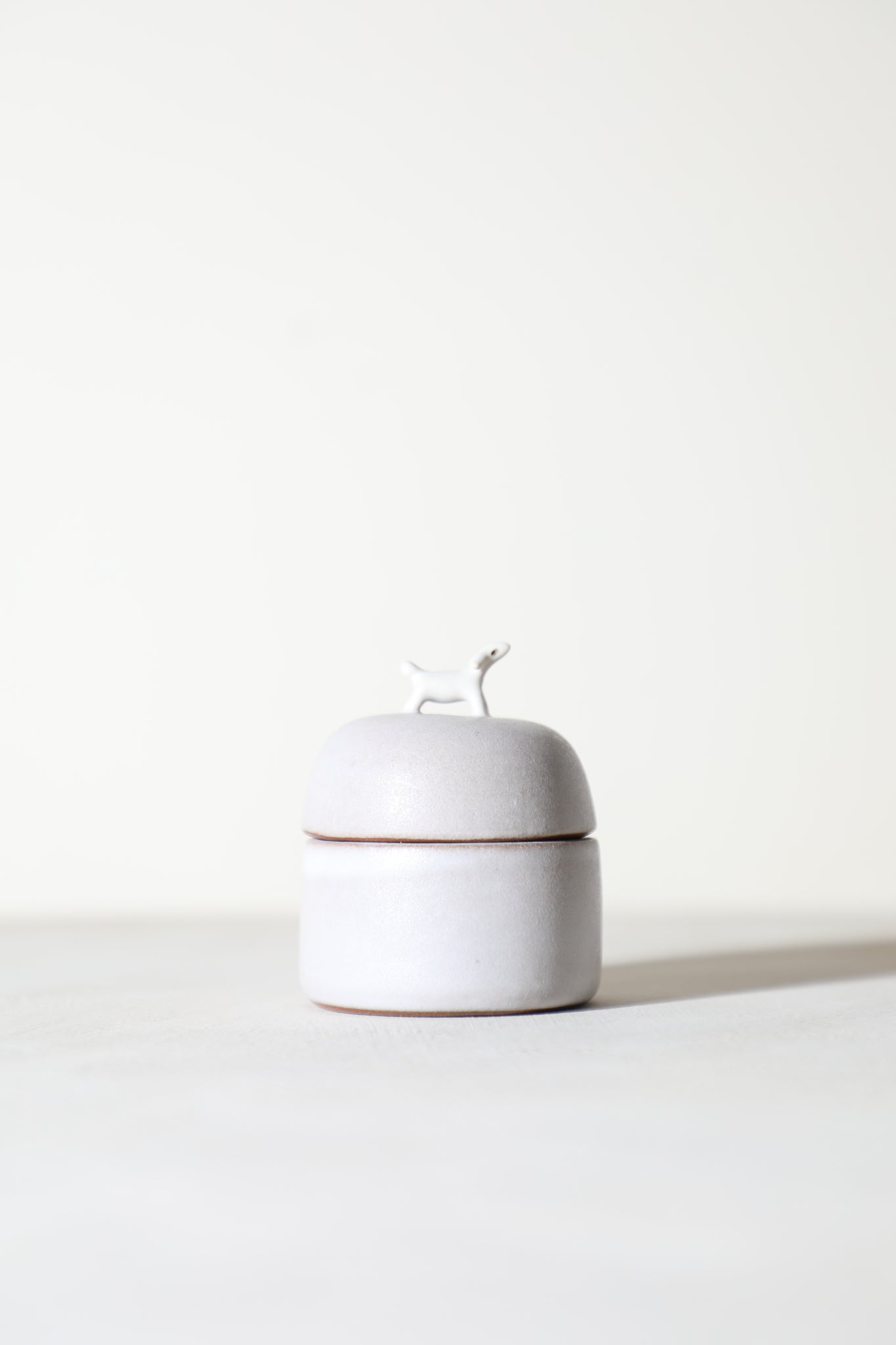 Pickle - Animal Jewelry Box