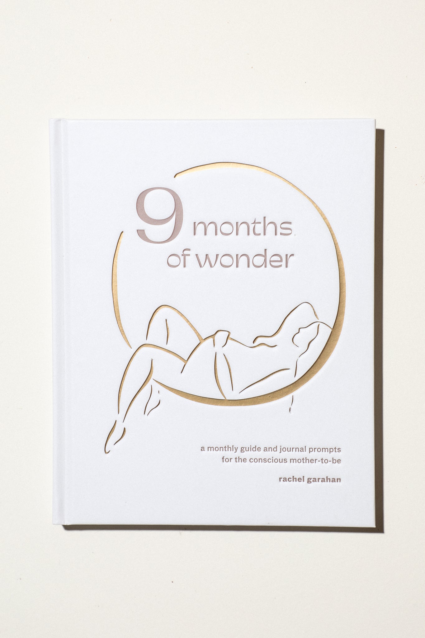 9 Months of Wonder Journal