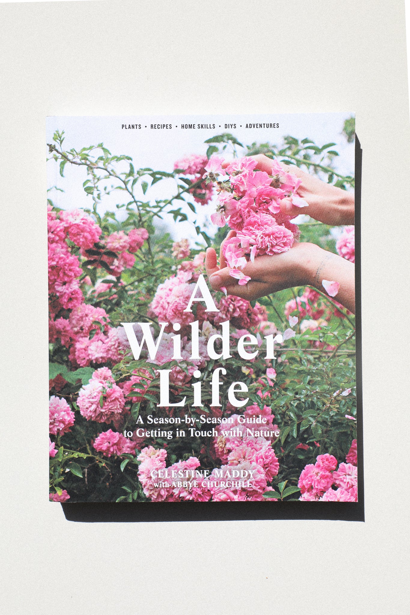 A Wilder Life: A Season-by-Season Guide to Getting in Touch with Nature