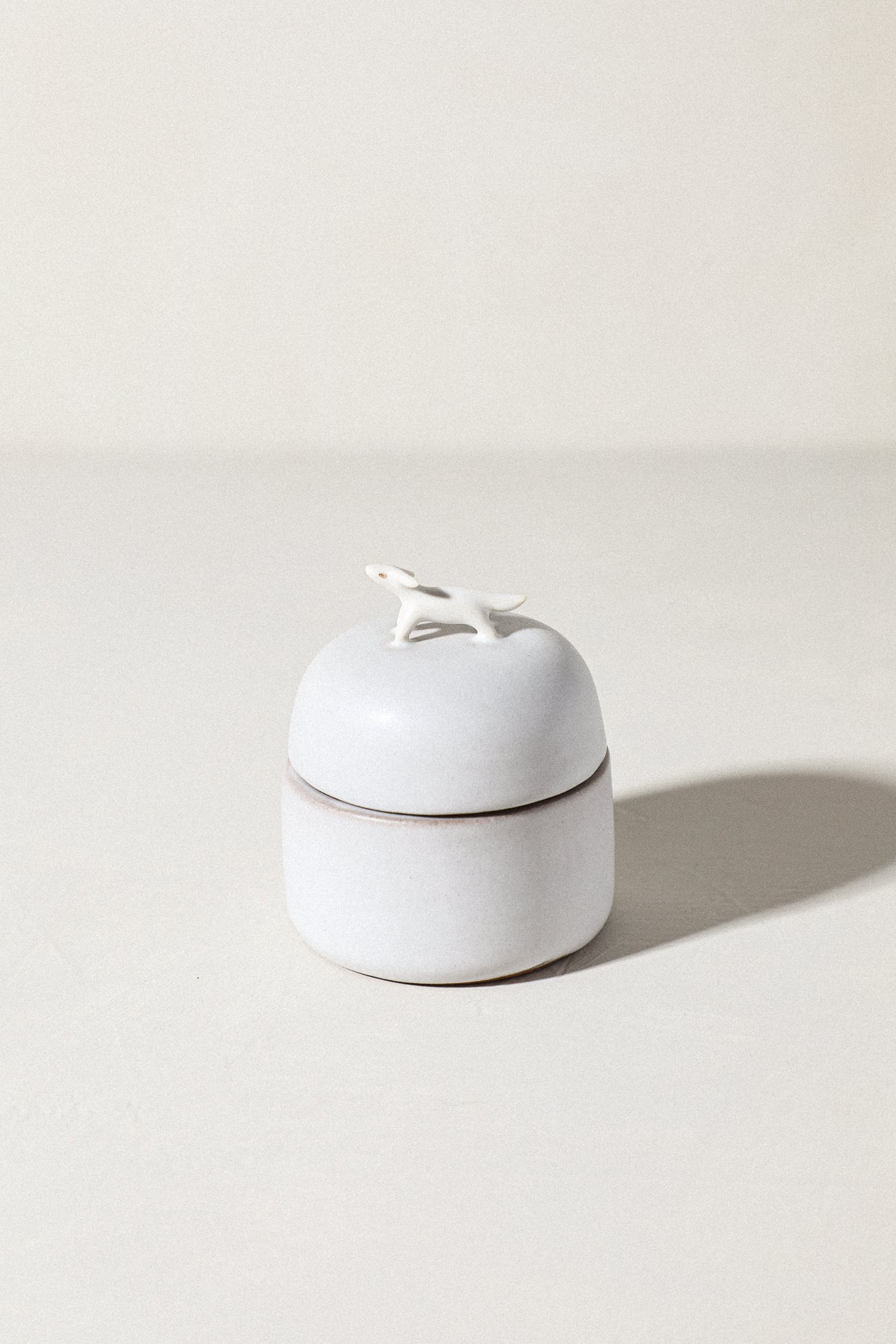 Coral - Animal Jewelry Box