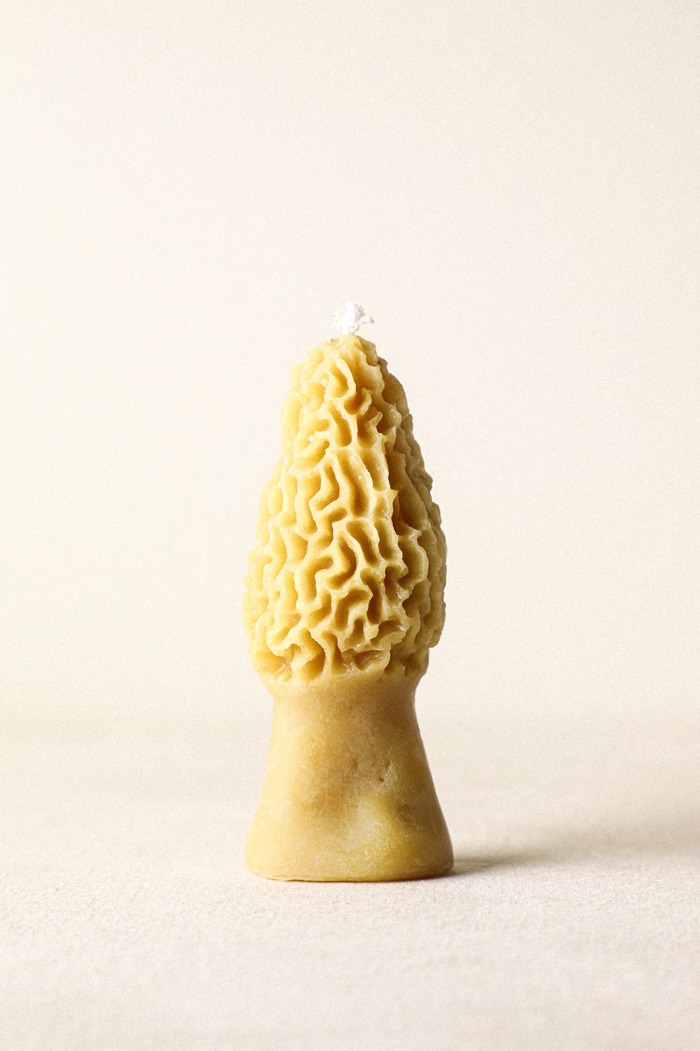 Morel Mushroom Shaped Beeswax Candle