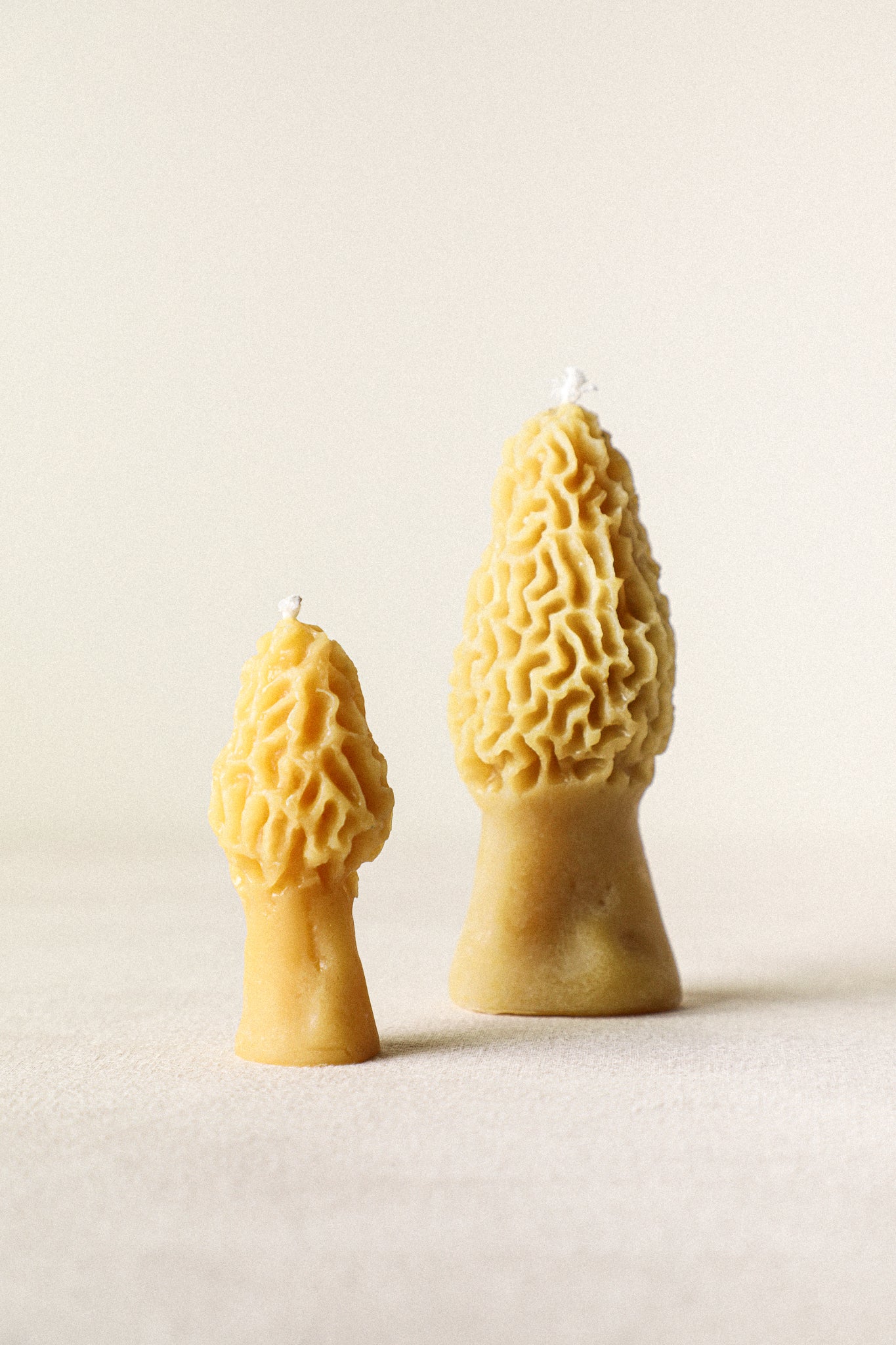 Morel Mushroom Shaped Beeswax Candle