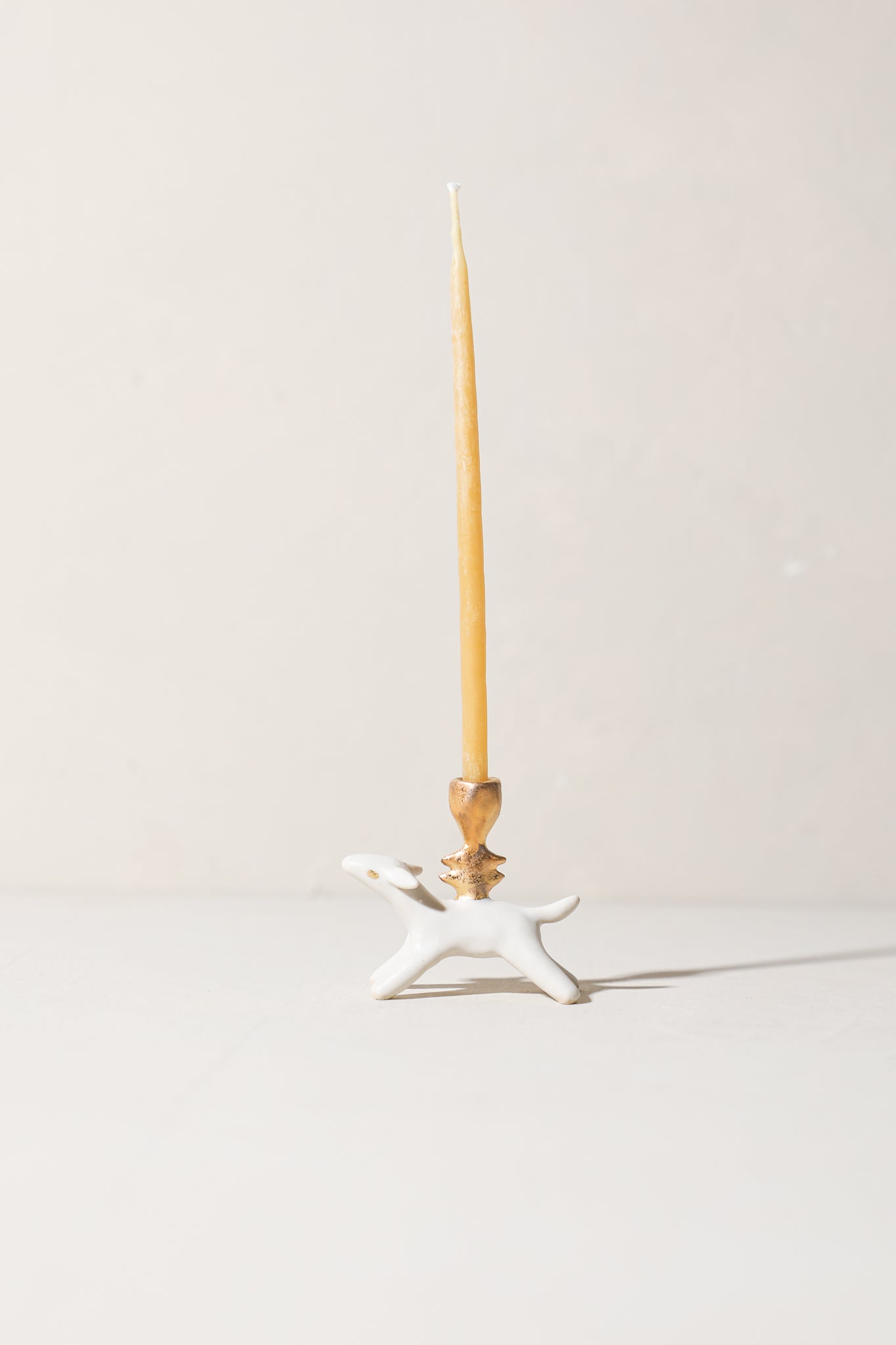 Acorn - Animal Candle Holder