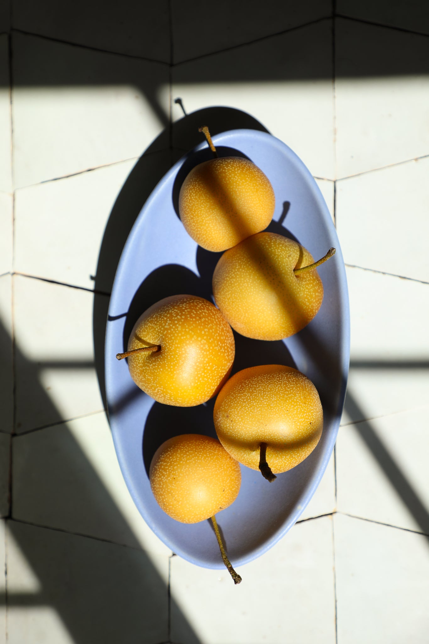 Oval Bowl / Forget Me Not