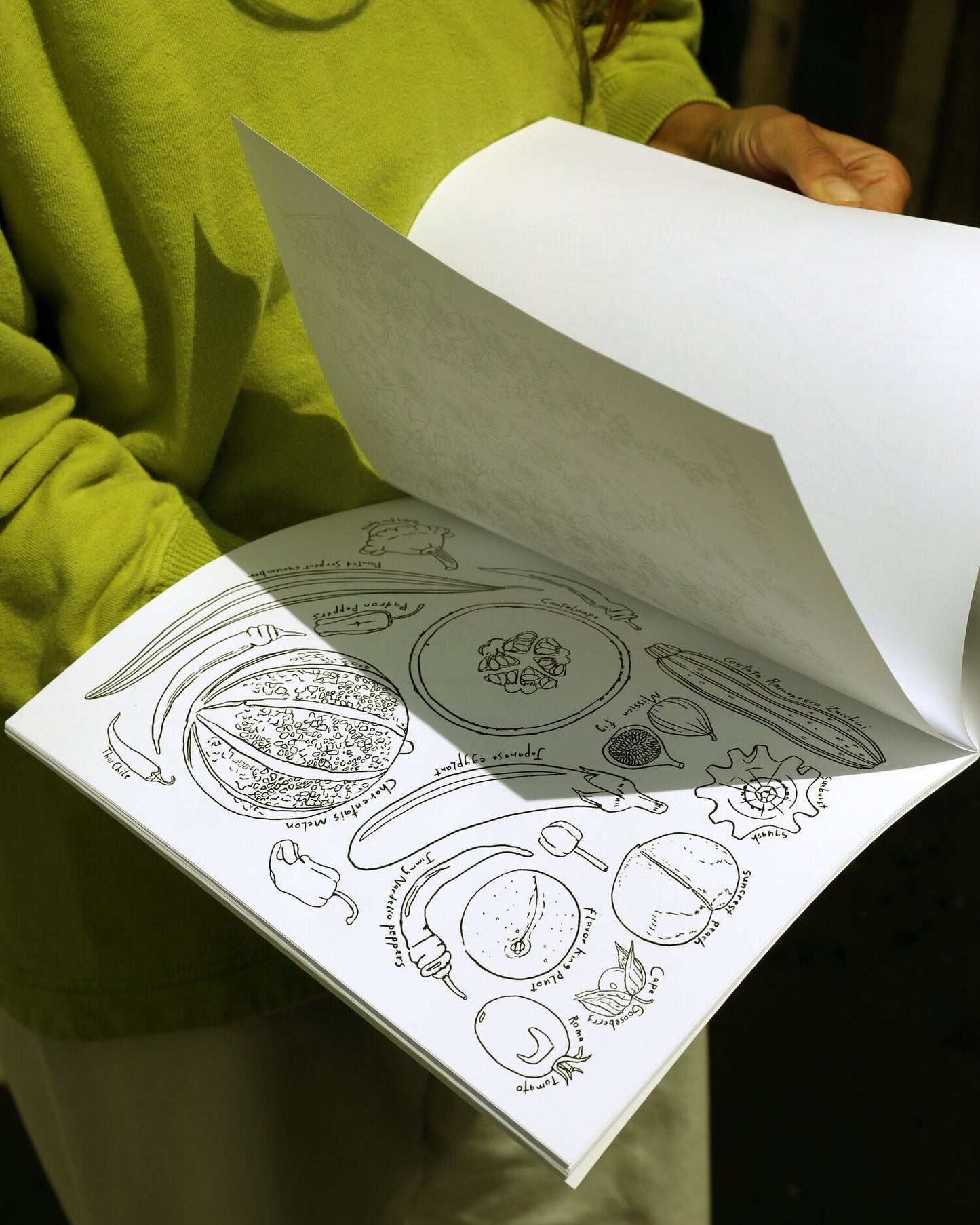 A Garden For All Seasons Coloring Book