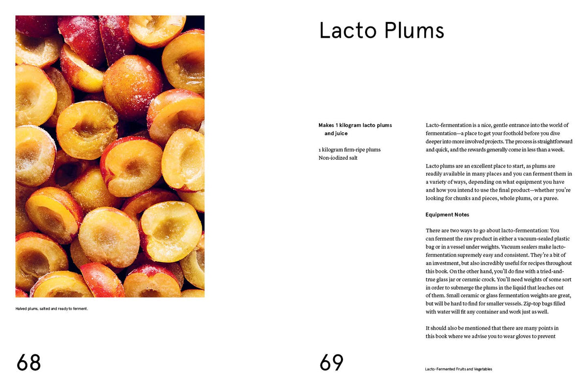 The Noma Guide to Fermentation – Earthen