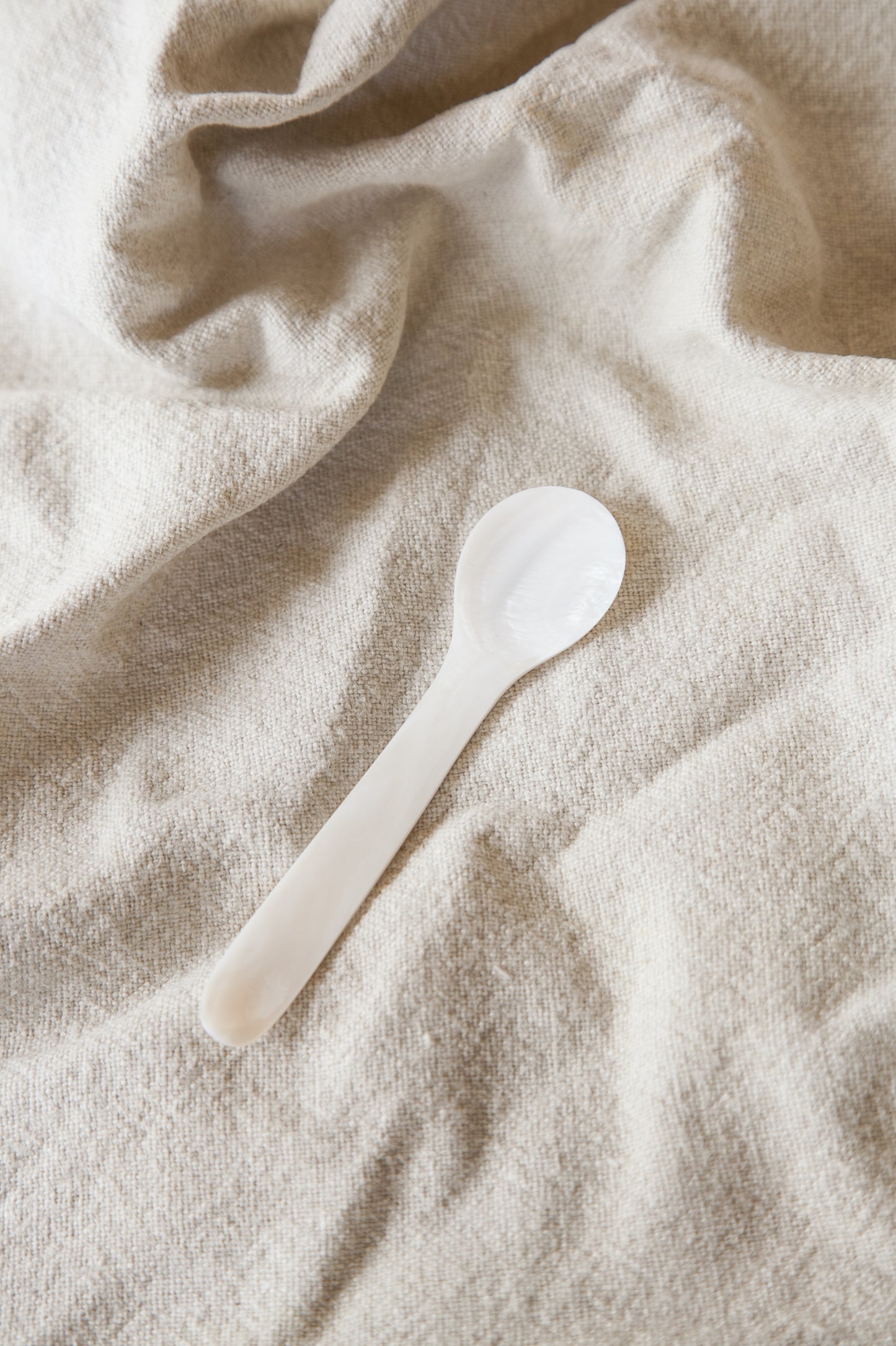 Seashell Dessert Spoon