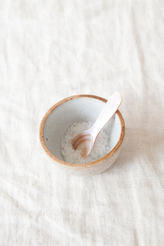 Seashell Salt Spoon