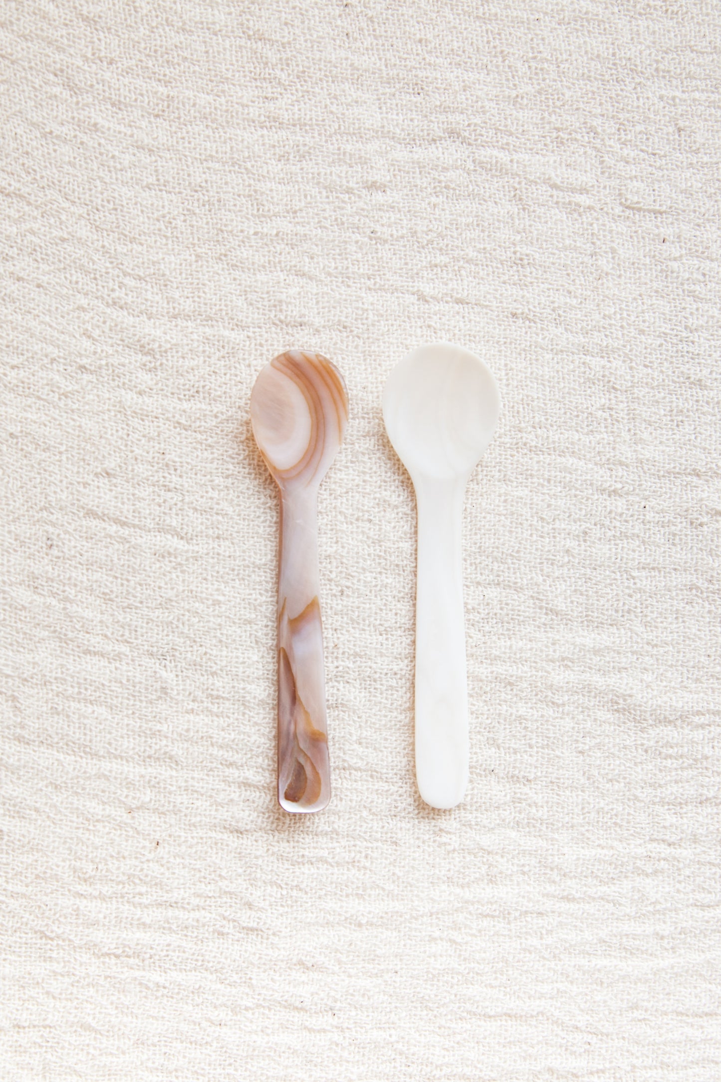 Seashell Dessert Spoon