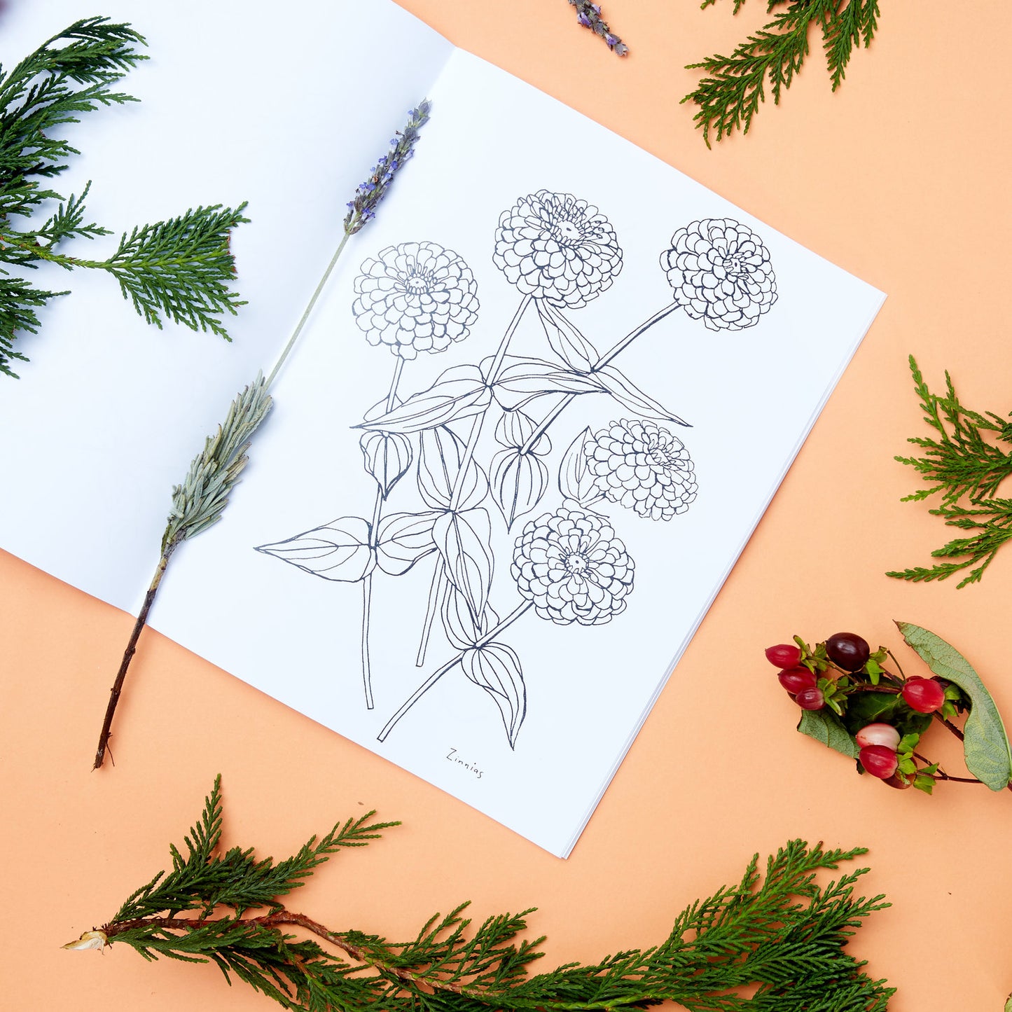 Buds Along the Path Coloring Book