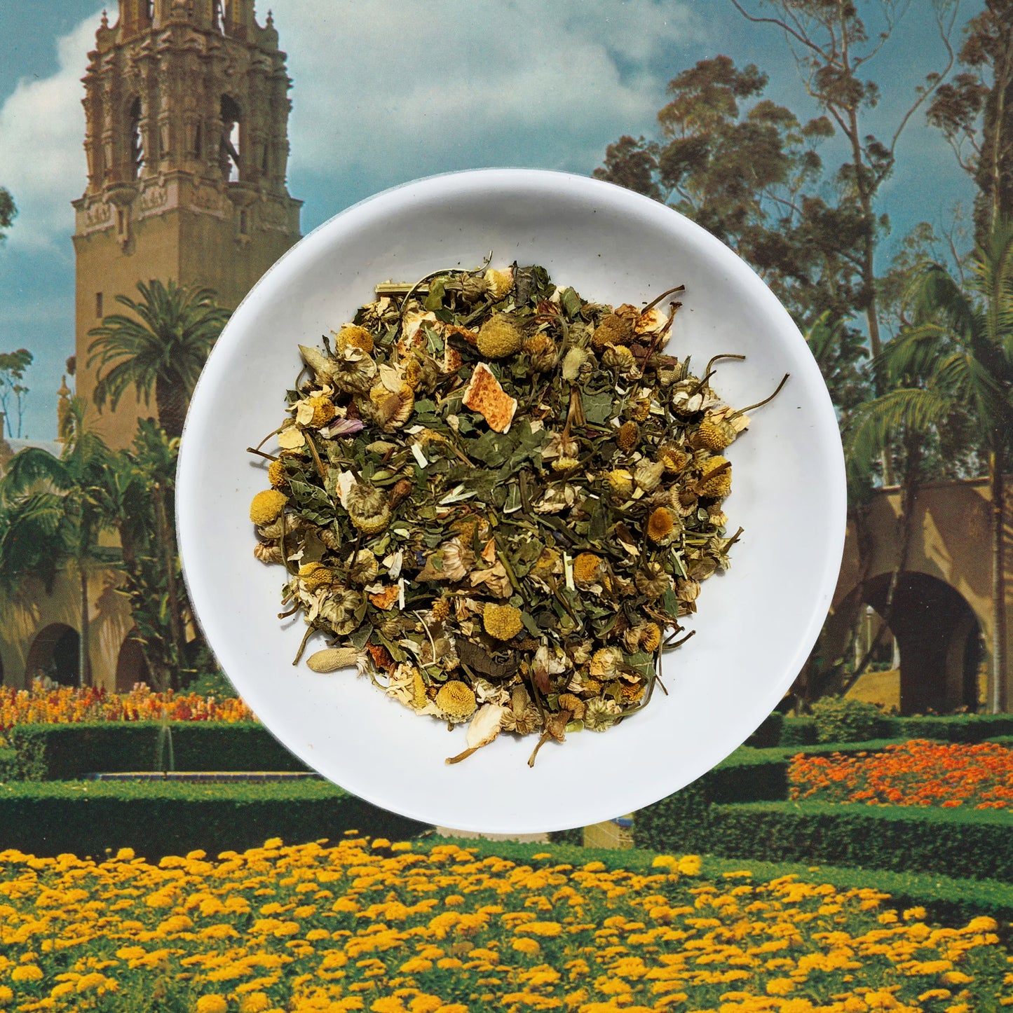 Chronic Wellness Tea