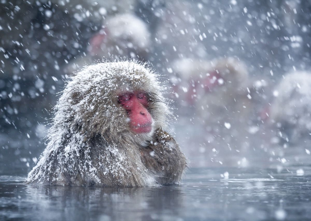 Hot Spring Bath Soak