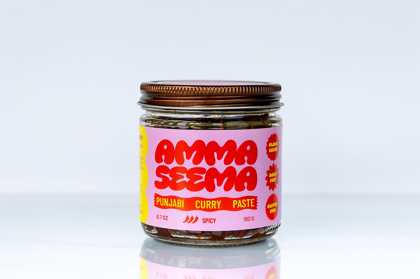 Spicy Punjabi Curry Paste