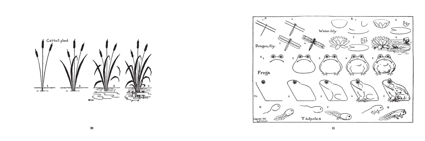What To Draw and How To Draw It