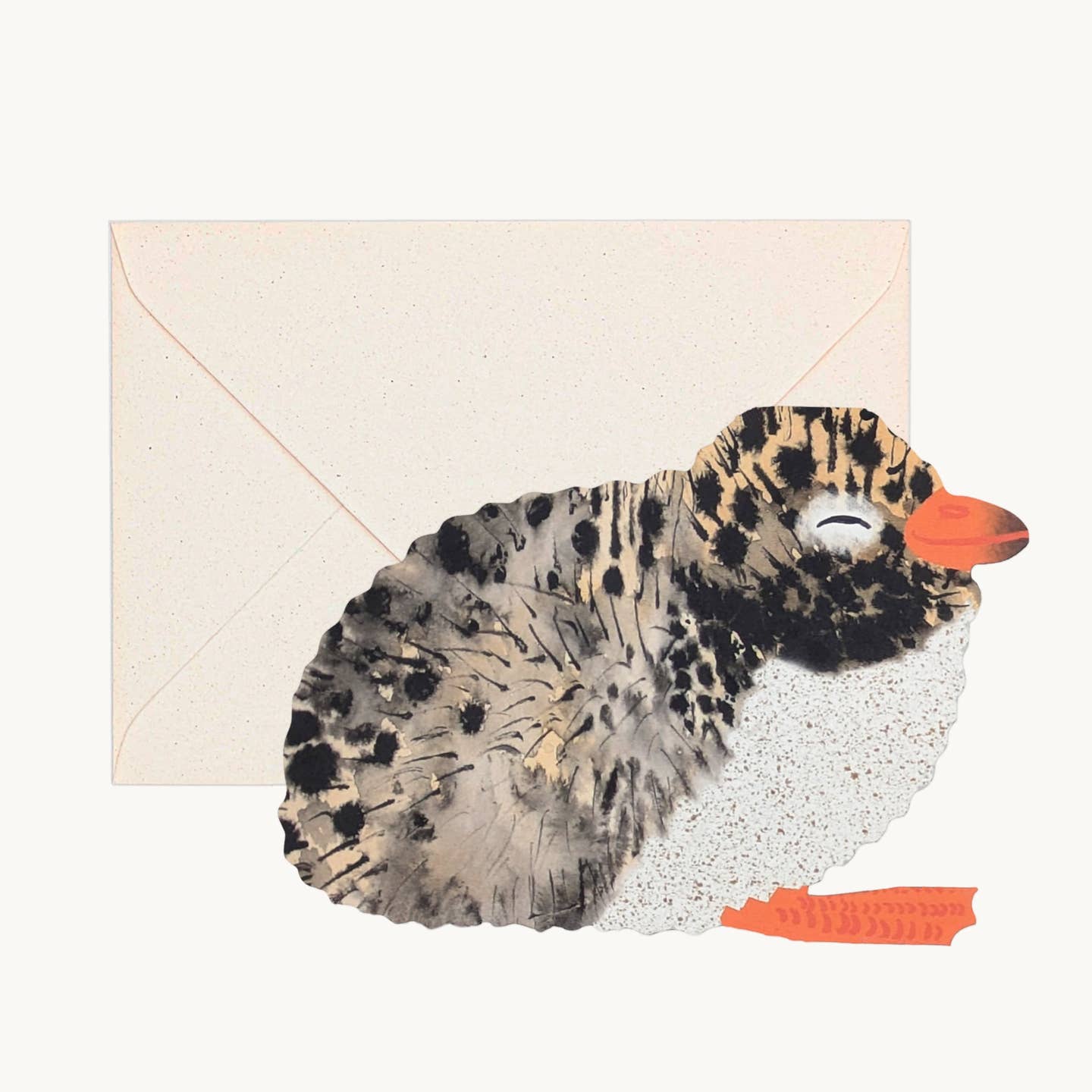 Arctic Tern Chick Greeting Card
