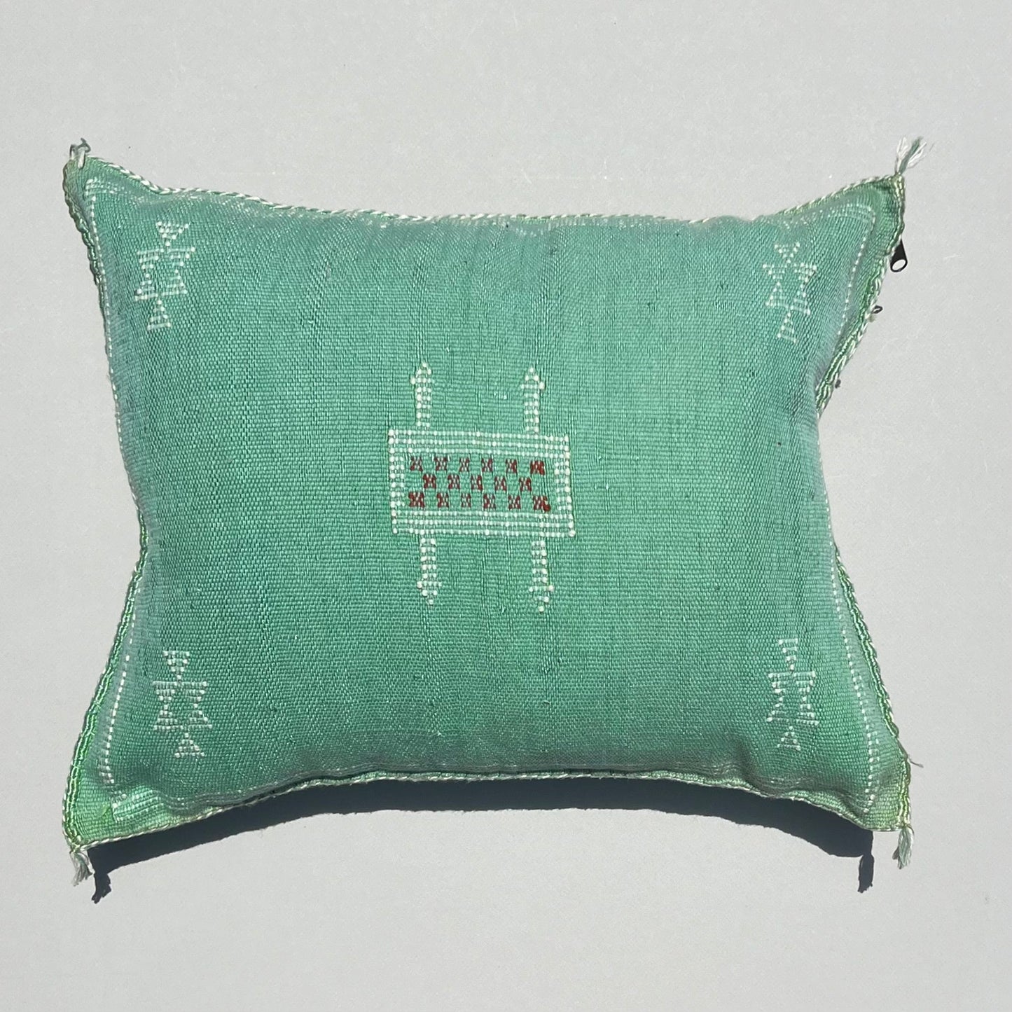 20" Cactus Silk Pillow