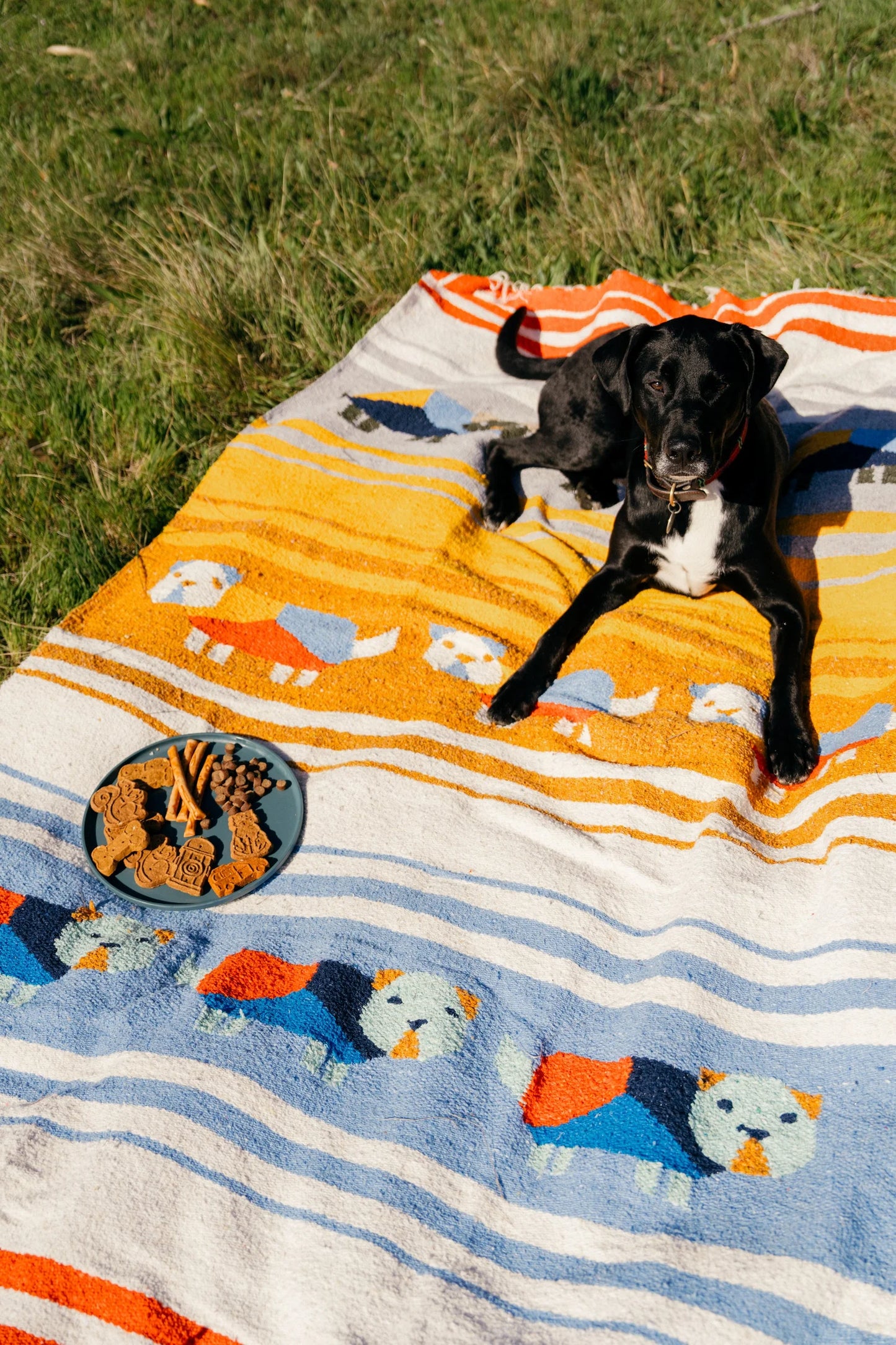 Perro Dorado - Woven Blanket