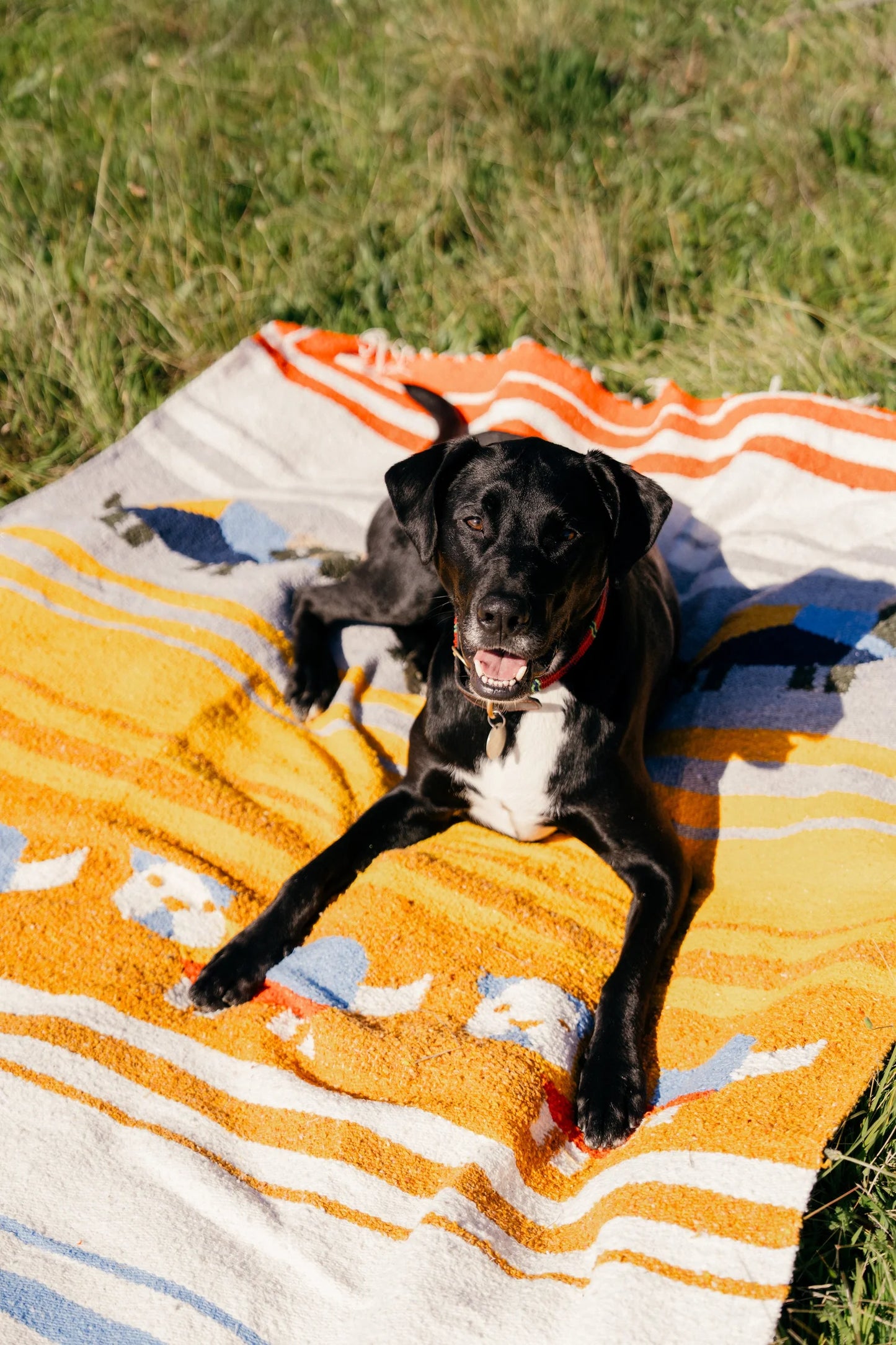 Perro Dorado - Woven Blanket