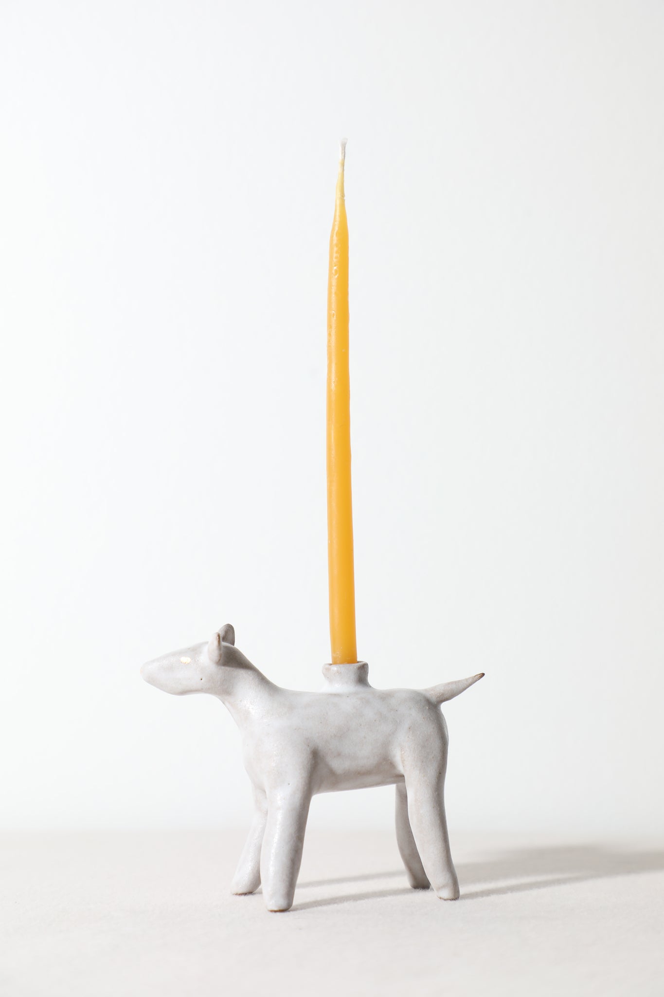 Daffodil - Animal Candle Holder