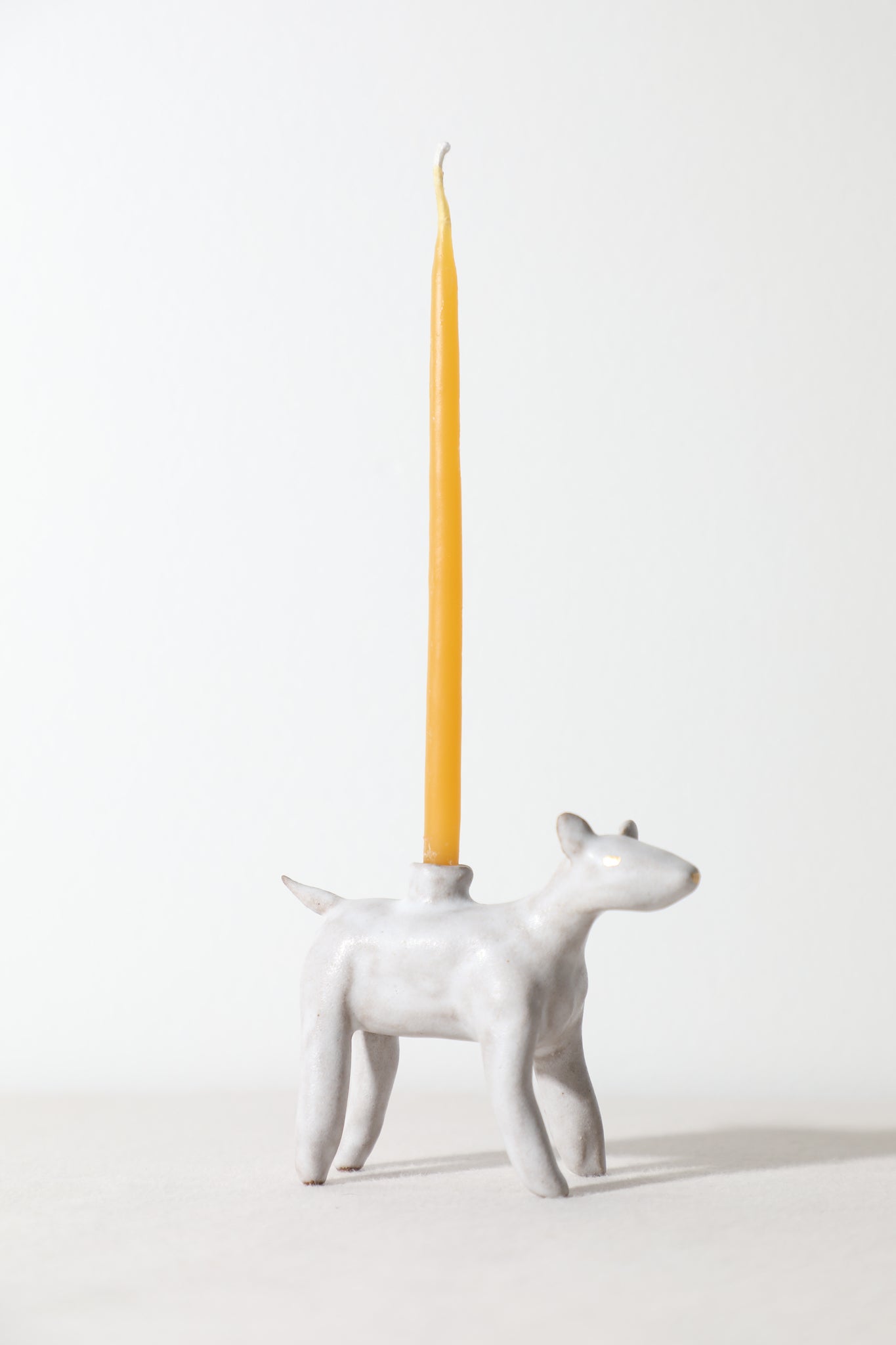 Daffodil - Animal Candle Holder