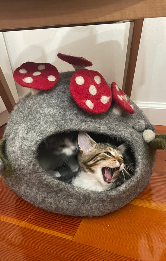 Enchanted Forest Cat Cave