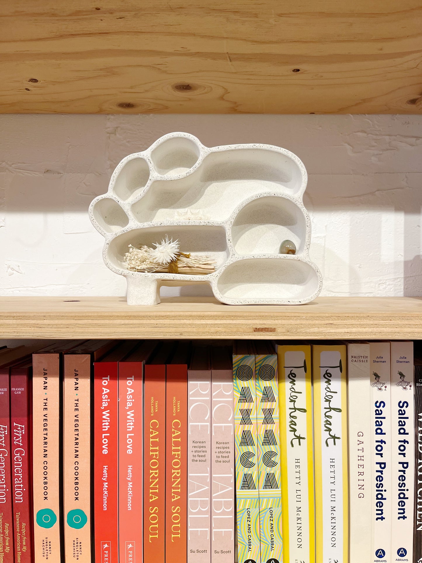 Cement Cave Shelf - no. 1