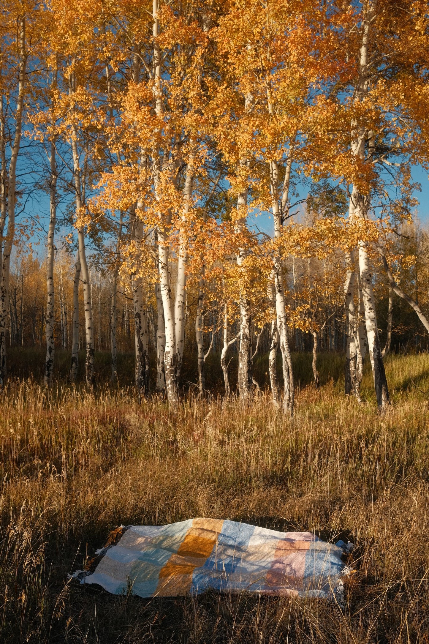 Suave Campo - Woven Blanket