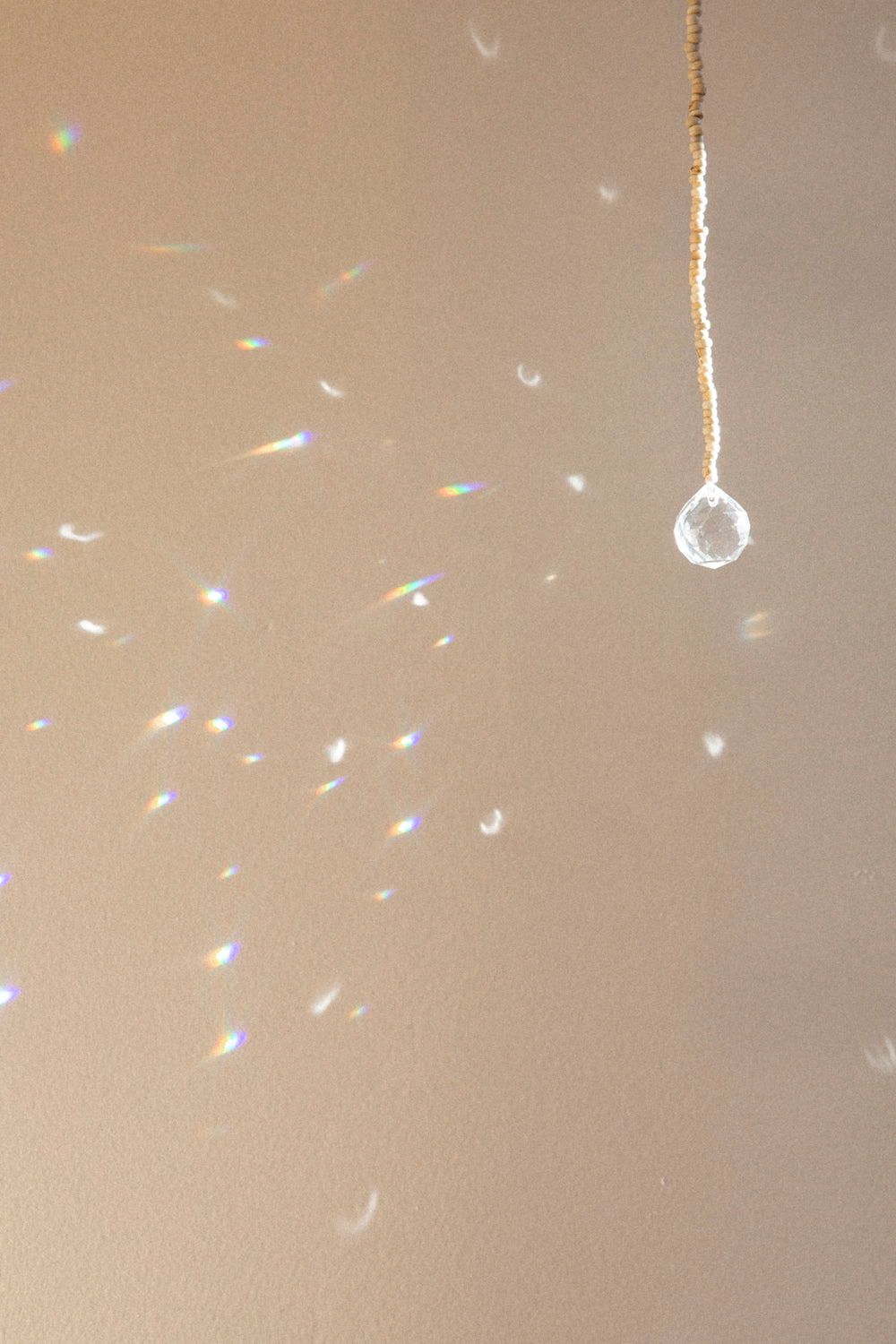 Ginkgo - Animal Light Catcher