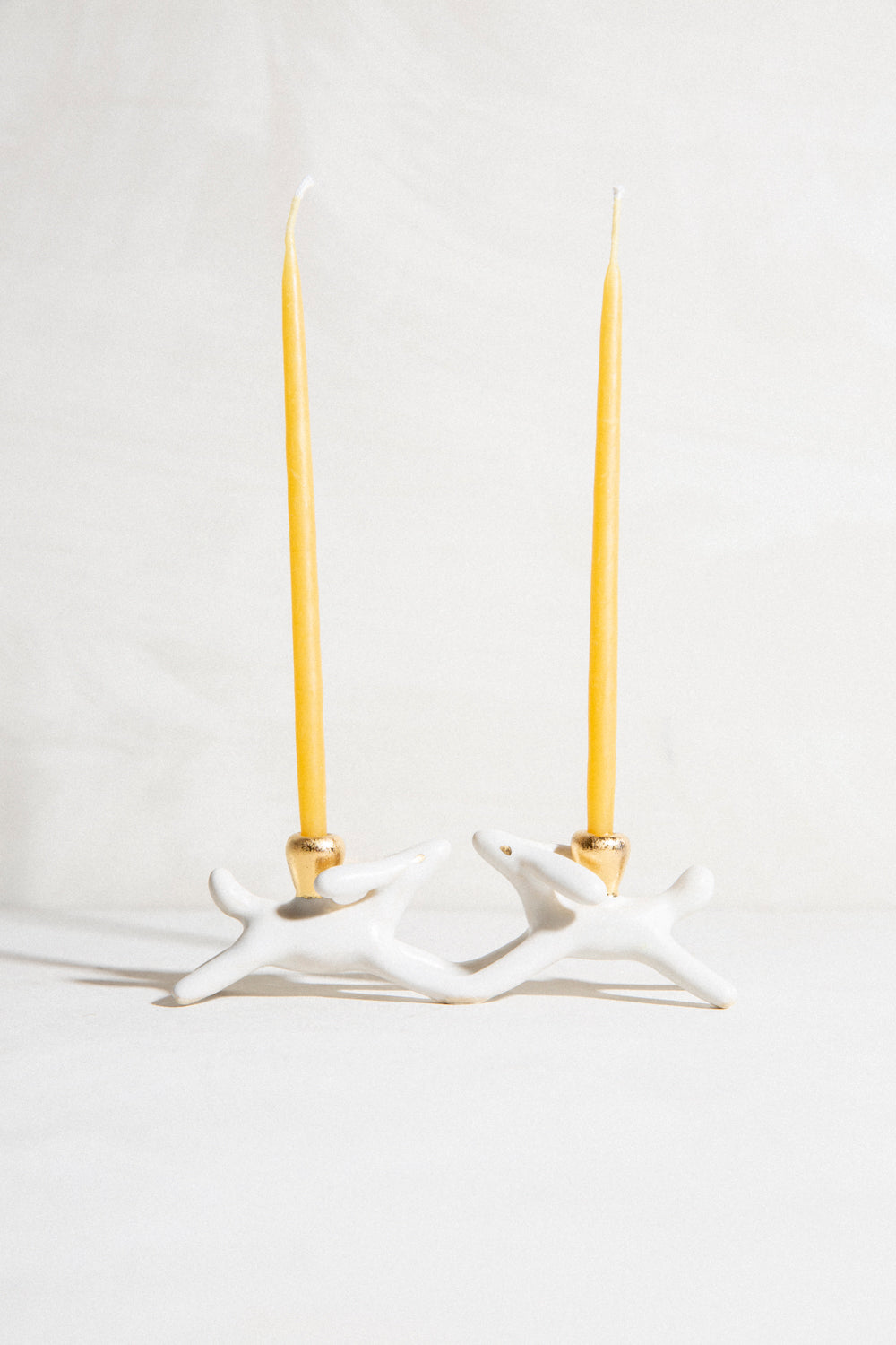 Charlie & Stevie - Critters Friends Candle Holder