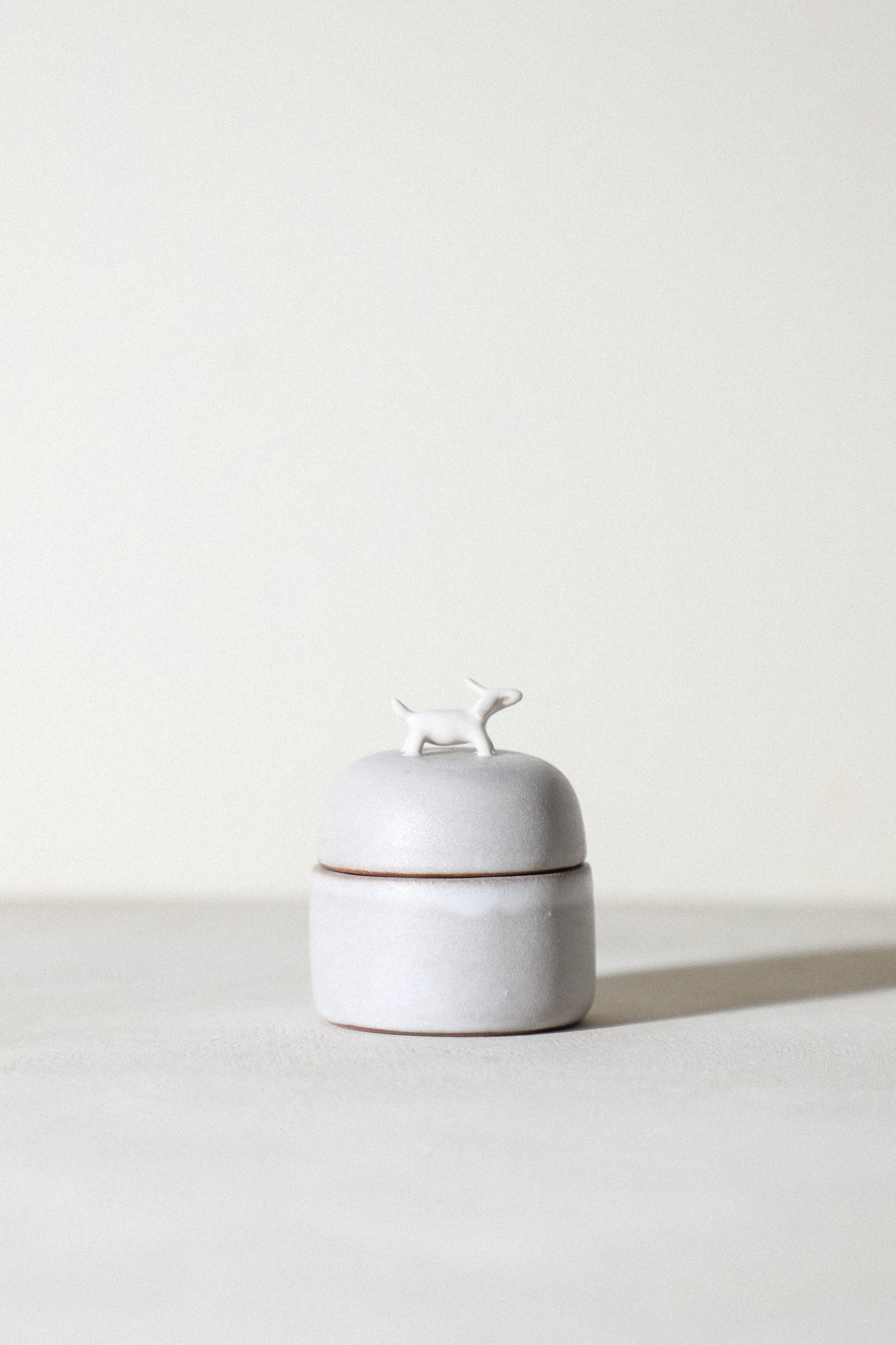 Charlie - Animal Jewelry Box