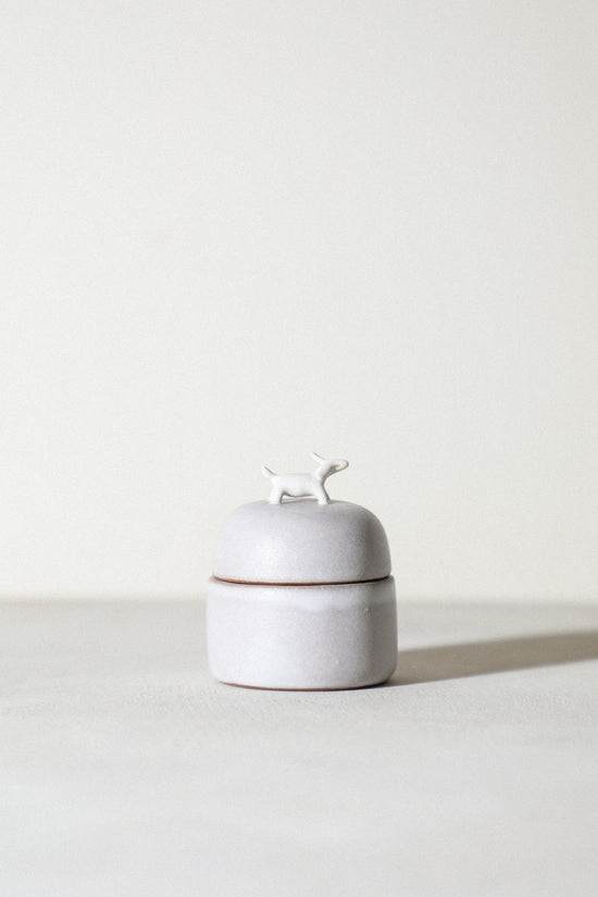 Charlie - Animal Jewelry Box
