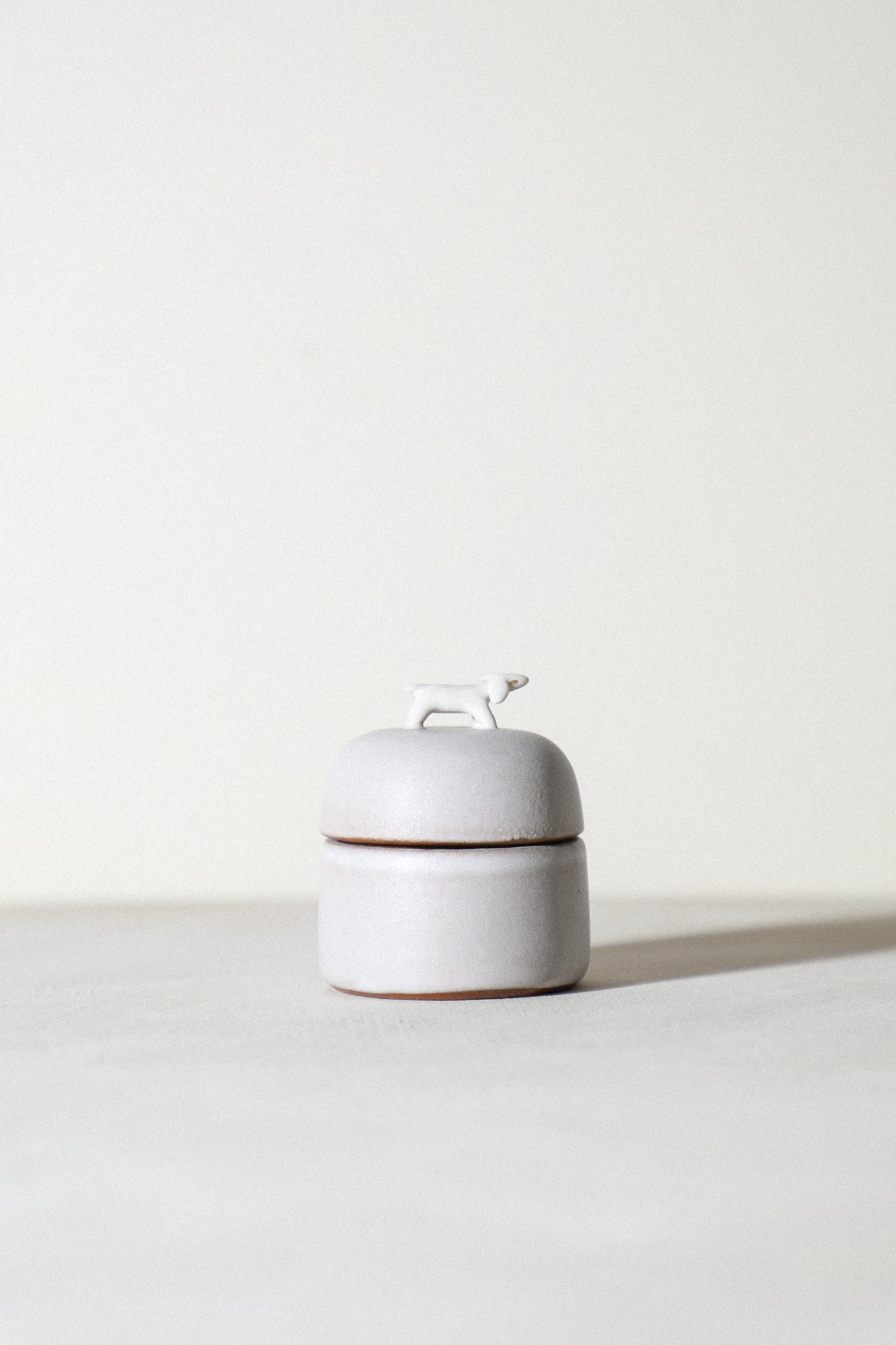 Citrus - Animal Jewelry Box