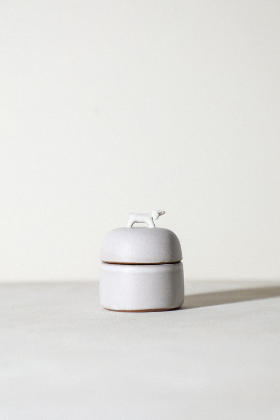 Citrus - Animal Jewelry Box