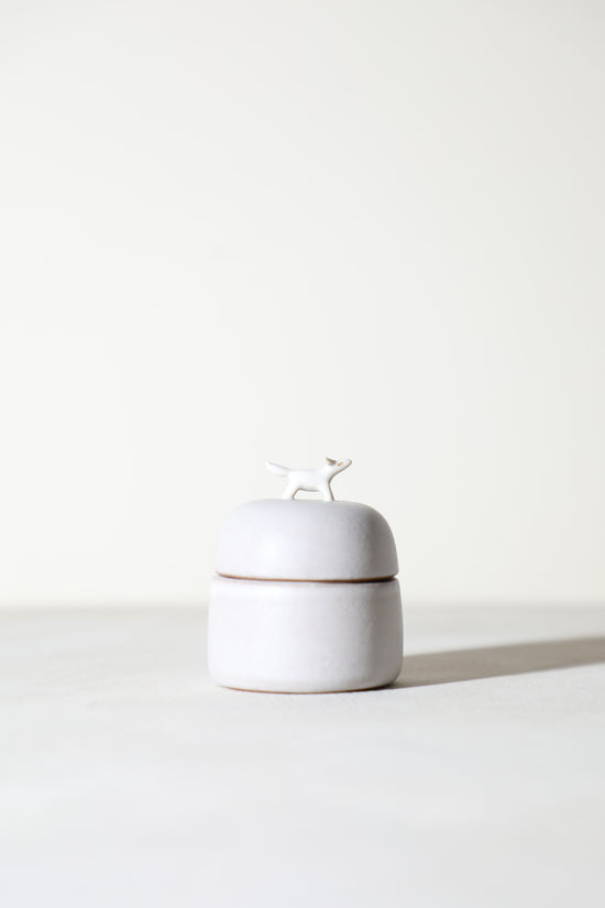 Melon - Animal Jewelry Box