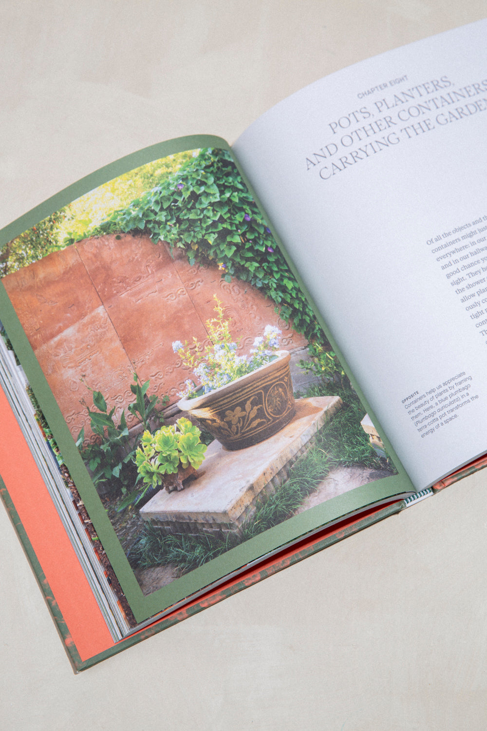 A Garden's Purpose: Cultivating Our Connection with the Natural World