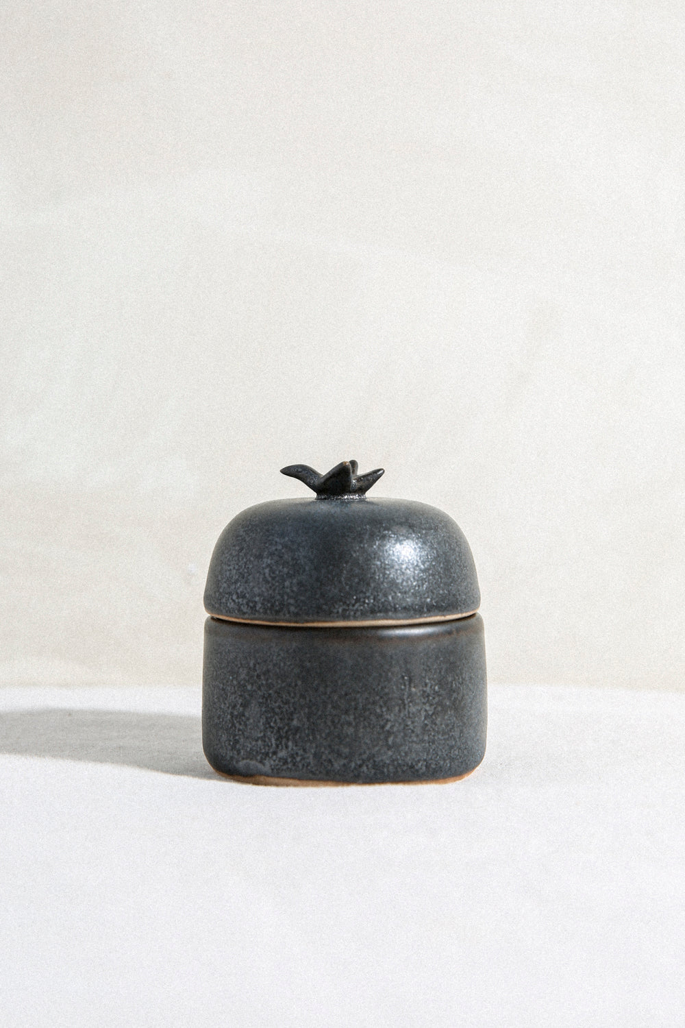 Raven - Animal Jewelry Box