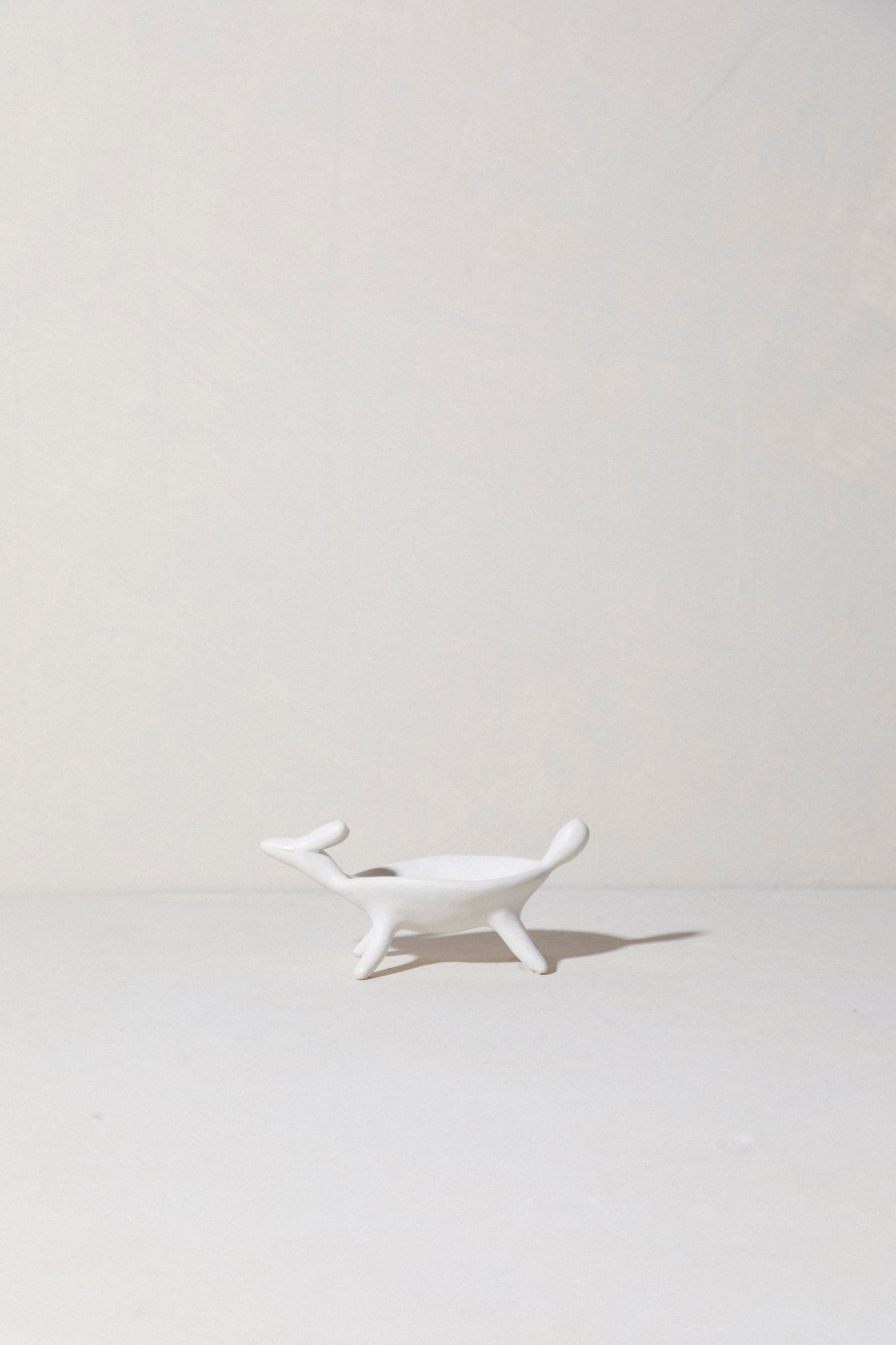 Noodle - Tiny Animal Dish