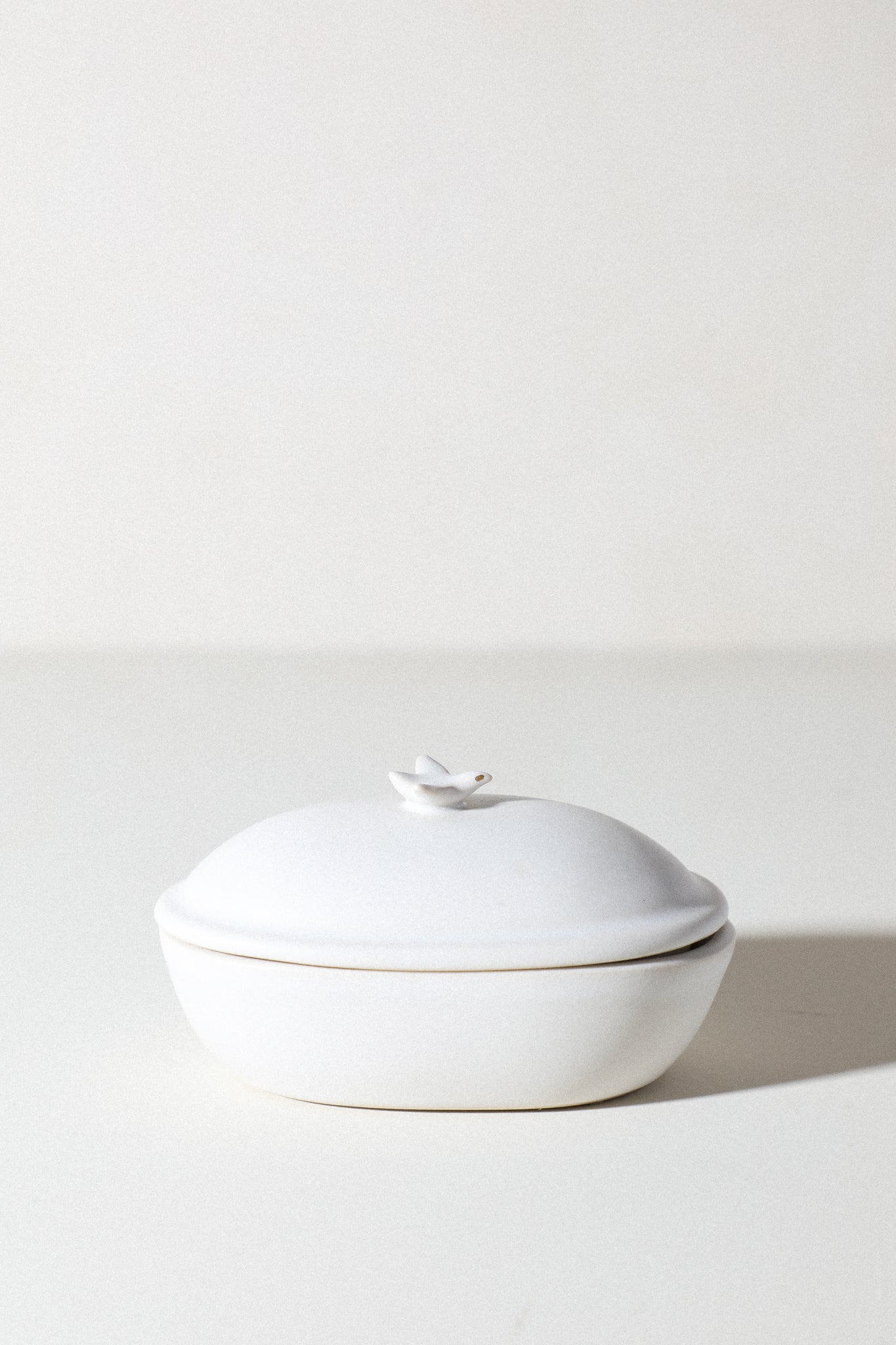 Aloe - Animal Treasure Box