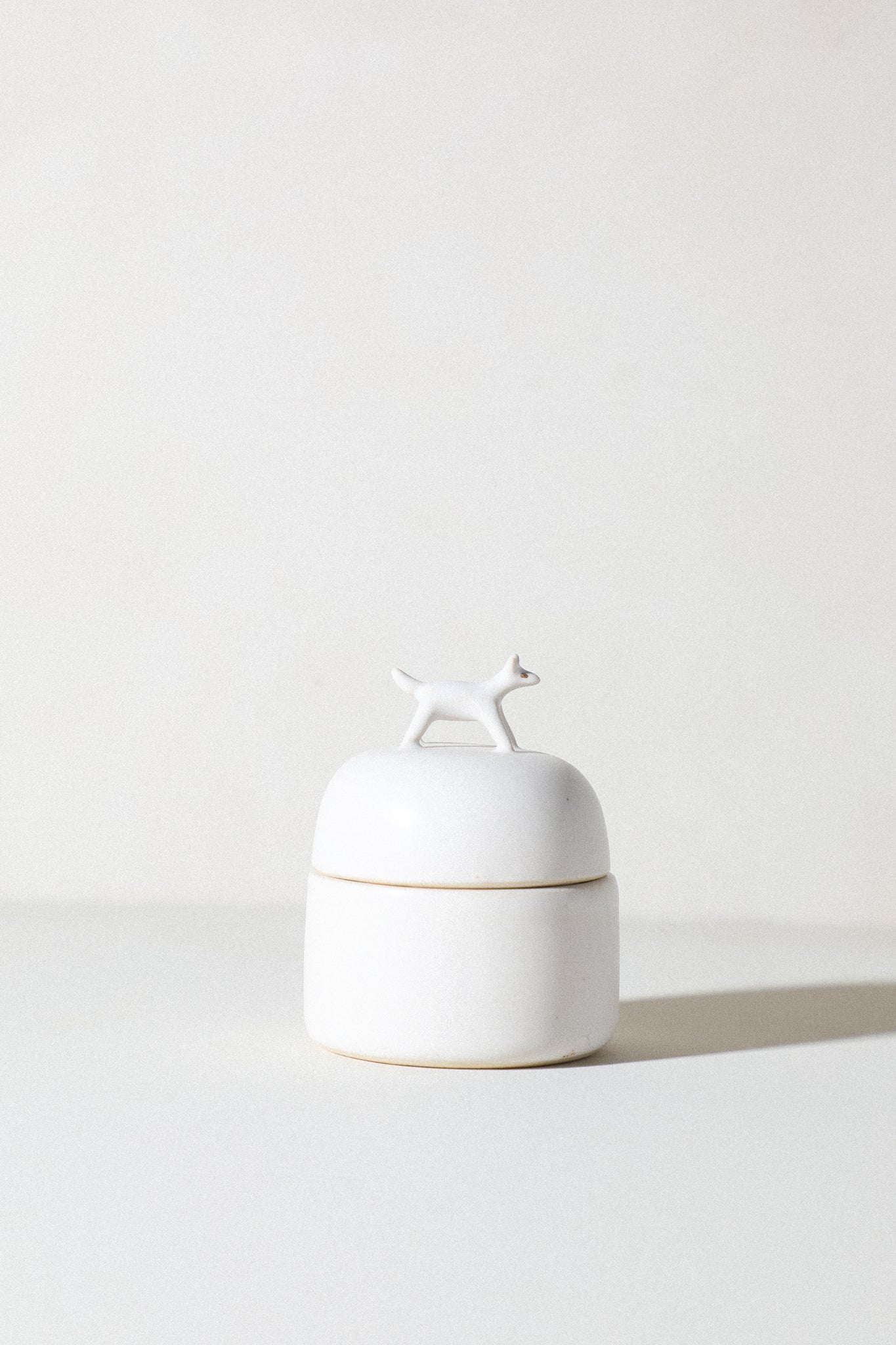 Citrus - Animal Jewelry Box