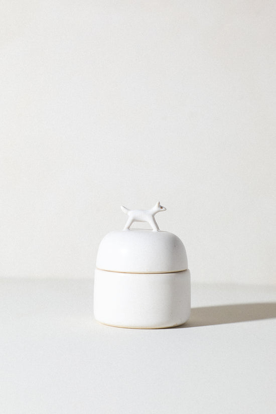 Citrus - Animal Jewelry Box