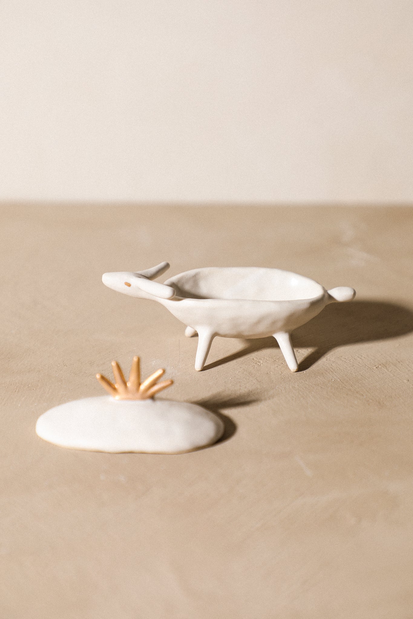 Anam - Animal Treasure Box