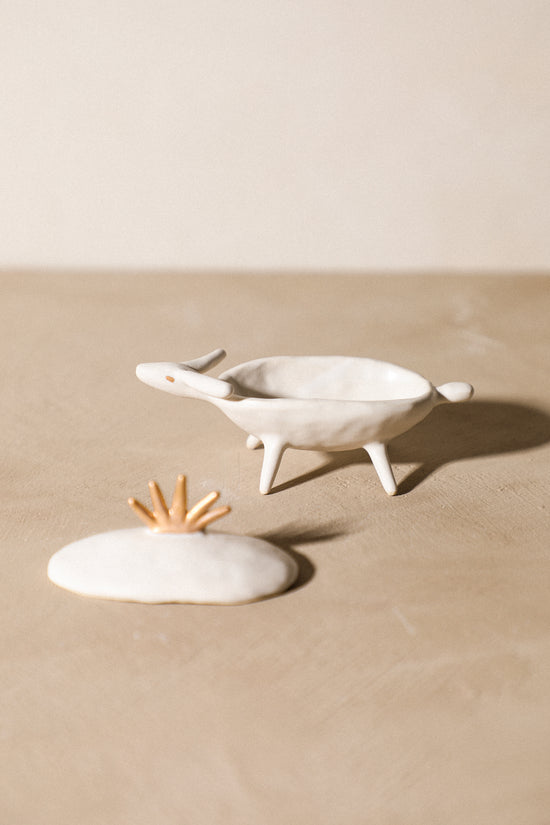Anam - Animal Treasure Box
