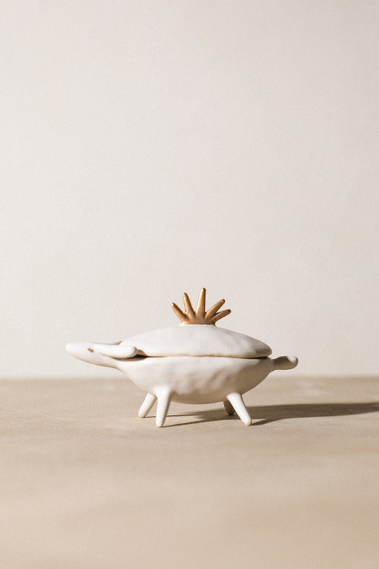 Anam - Animal Treasure Box