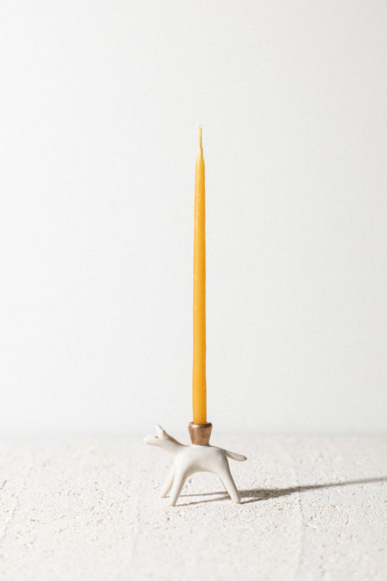 Algae - Animal Candle Holder