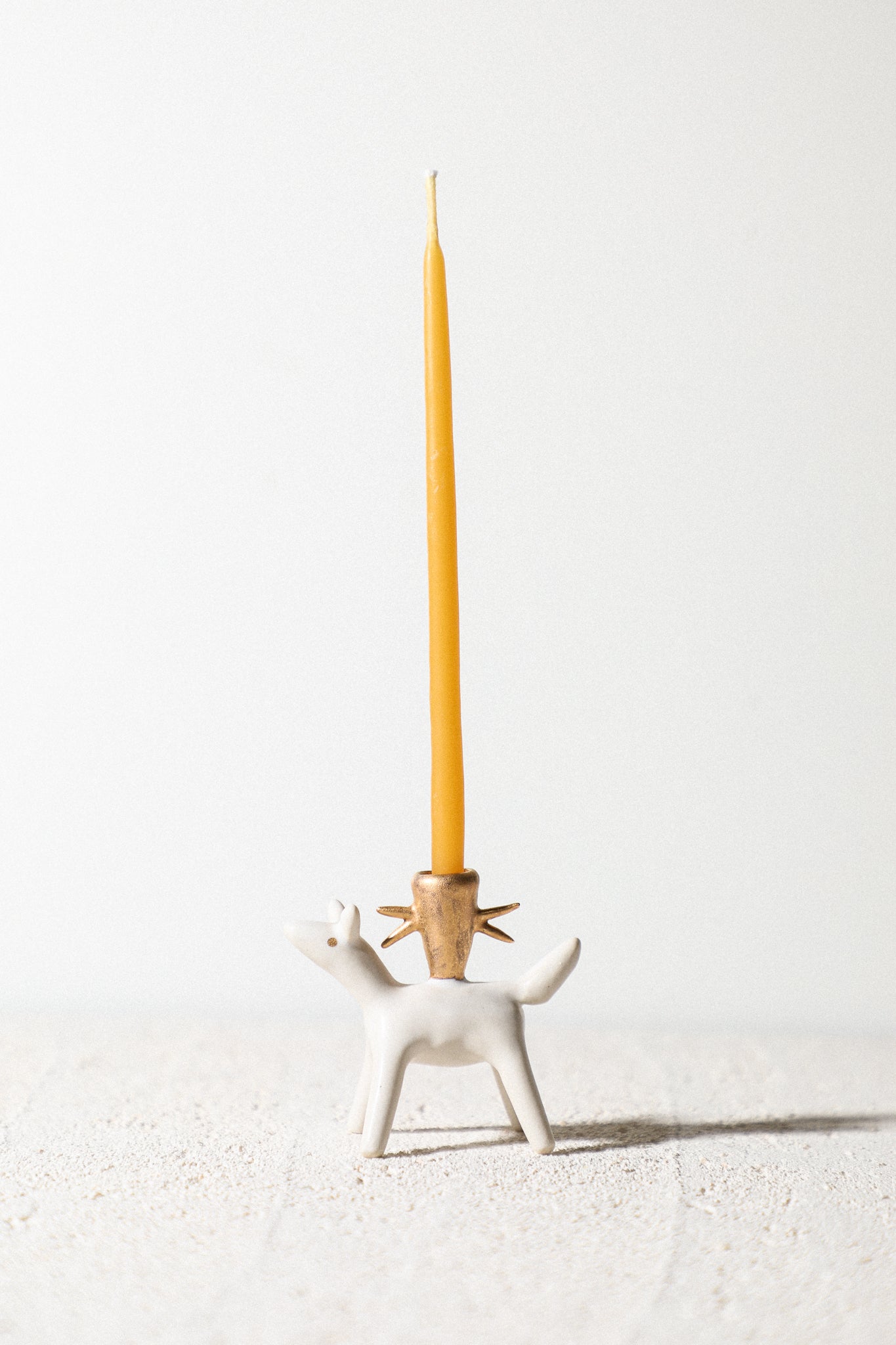 Bufo - Animal Candle Holder