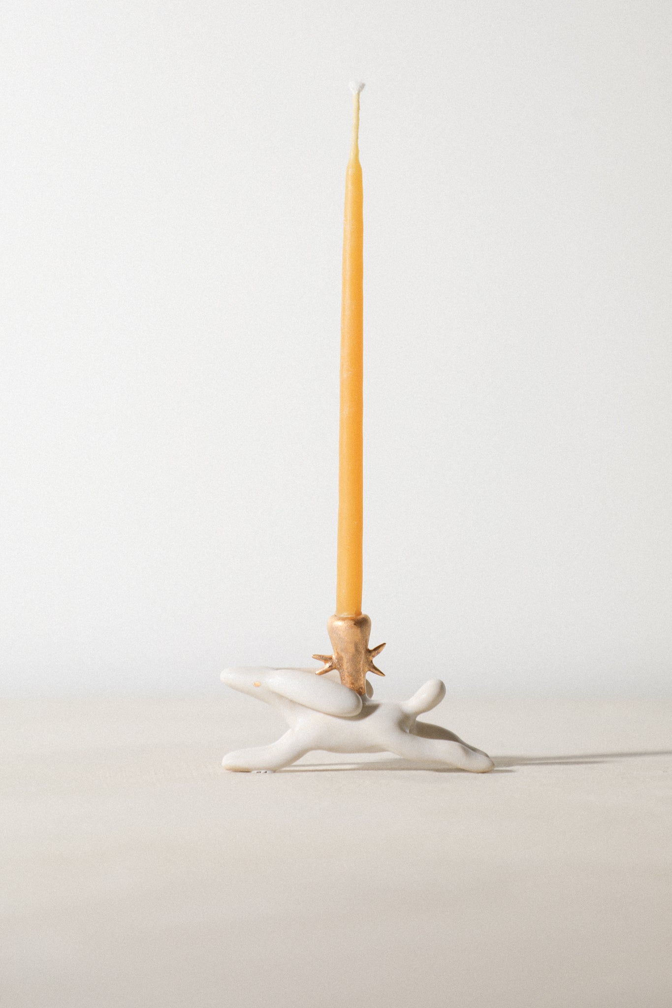 Starry- Animal Candle Holder