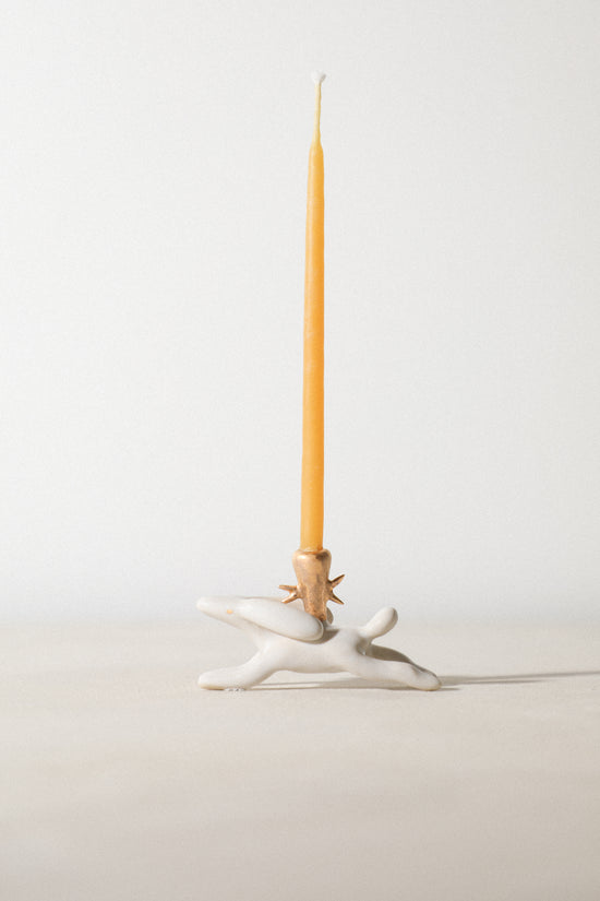 Starry- Animal Candle Holder