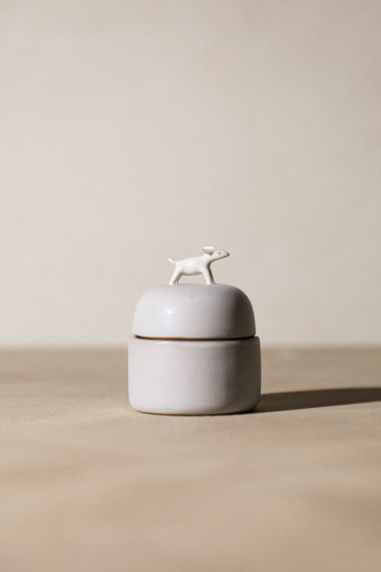 Twisty - Animal Jewelry Box